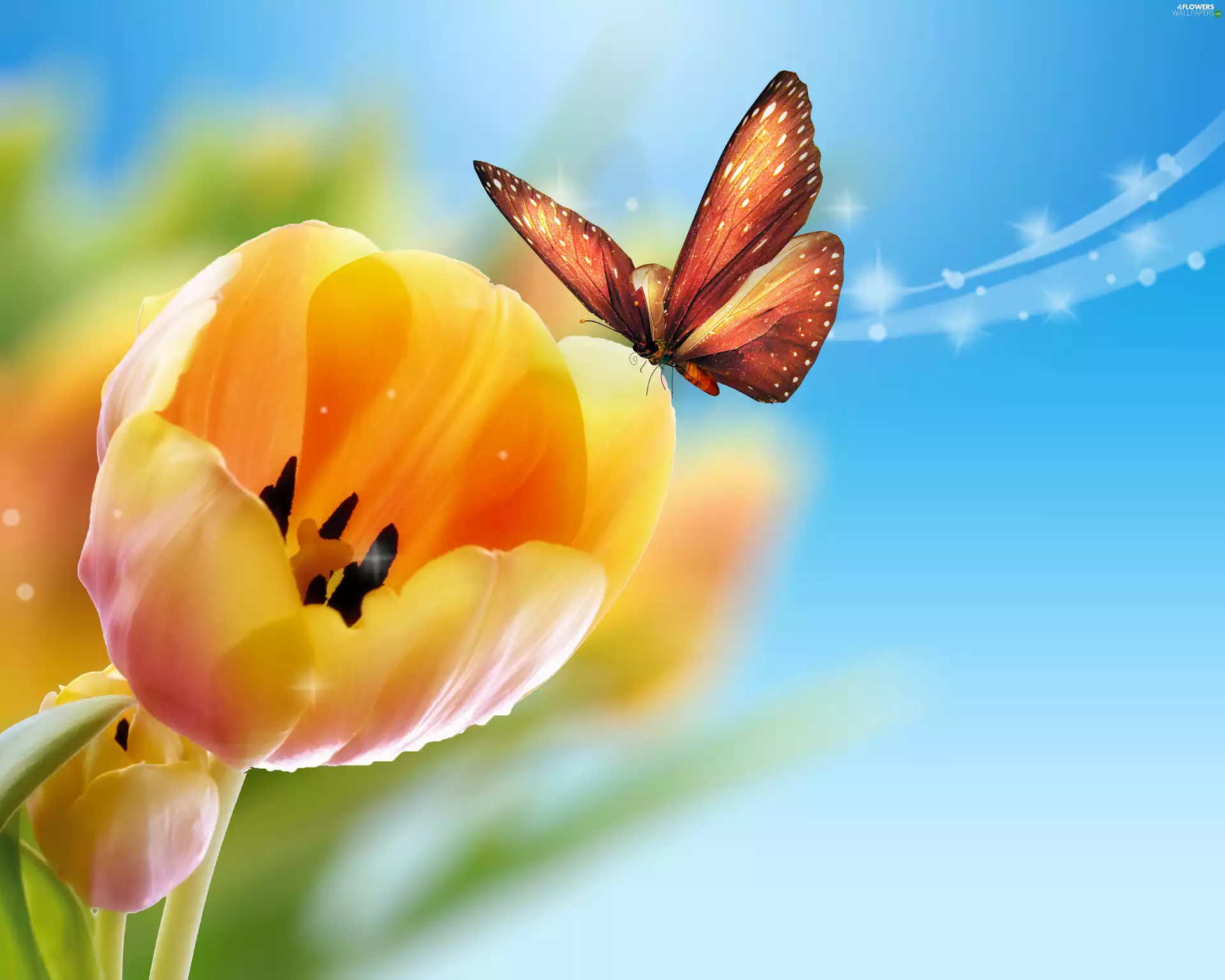 butterfly, Yellow, Tulips