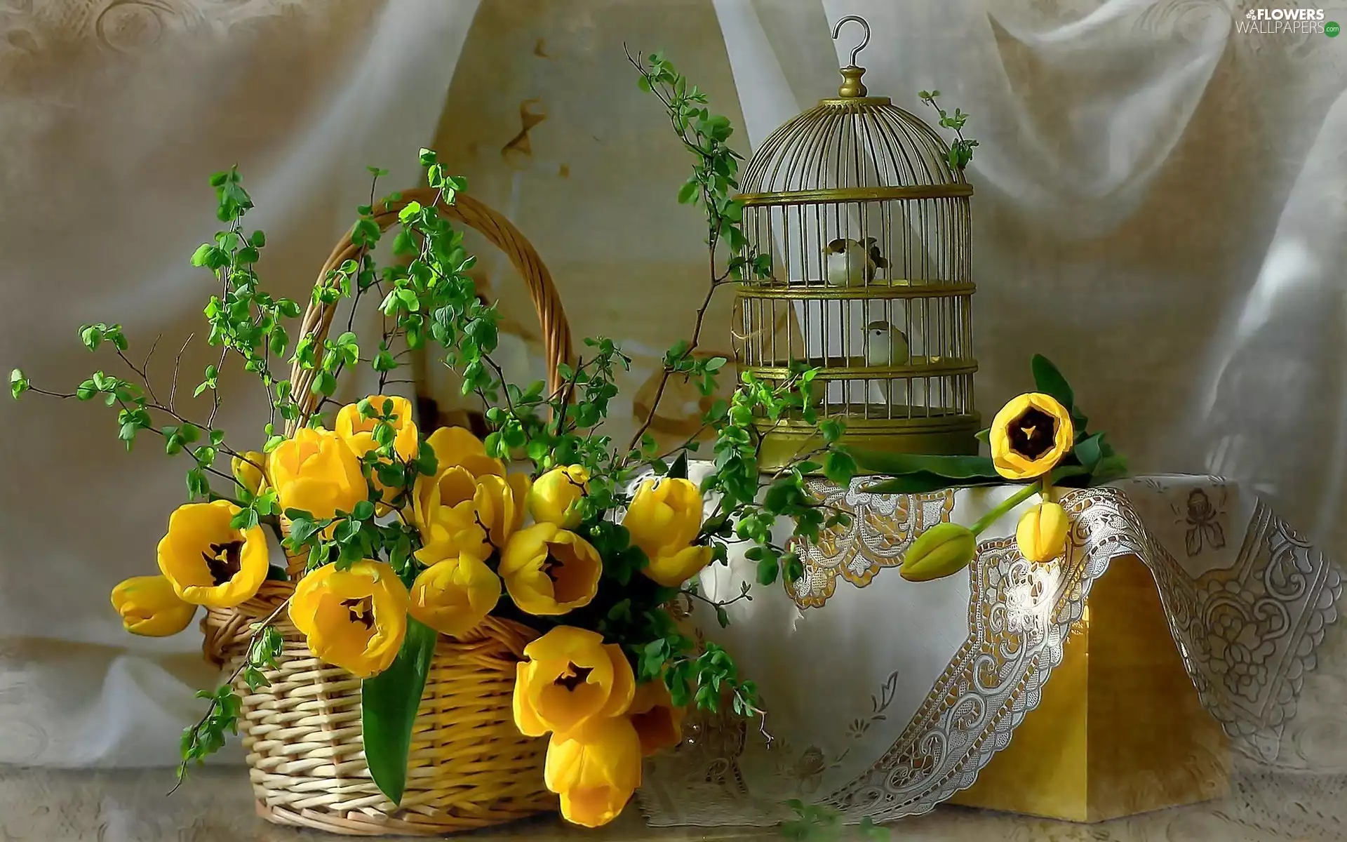 Cage, birds, Yellow, Tulips, basket