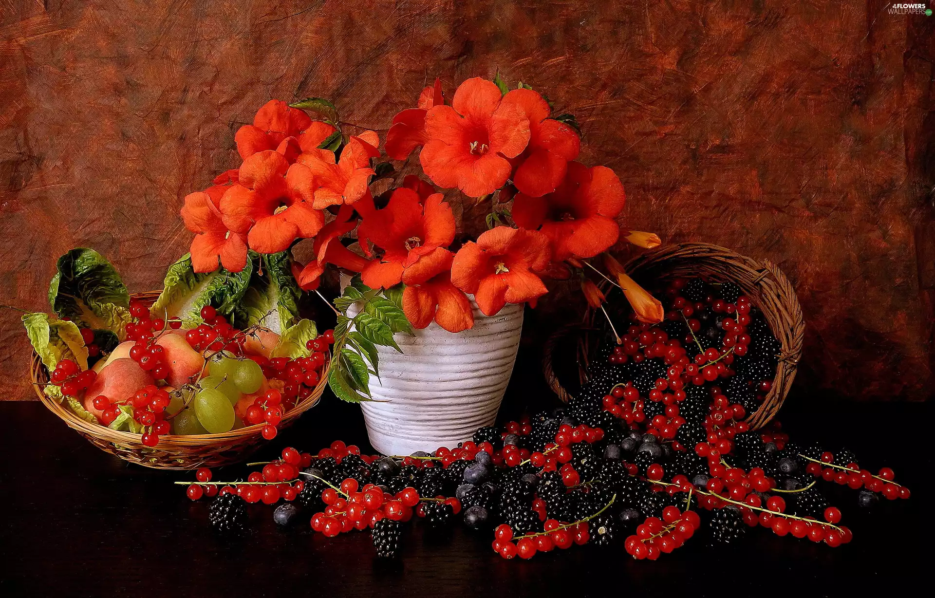 currants, Cage, Vase, Fruits, bouquet