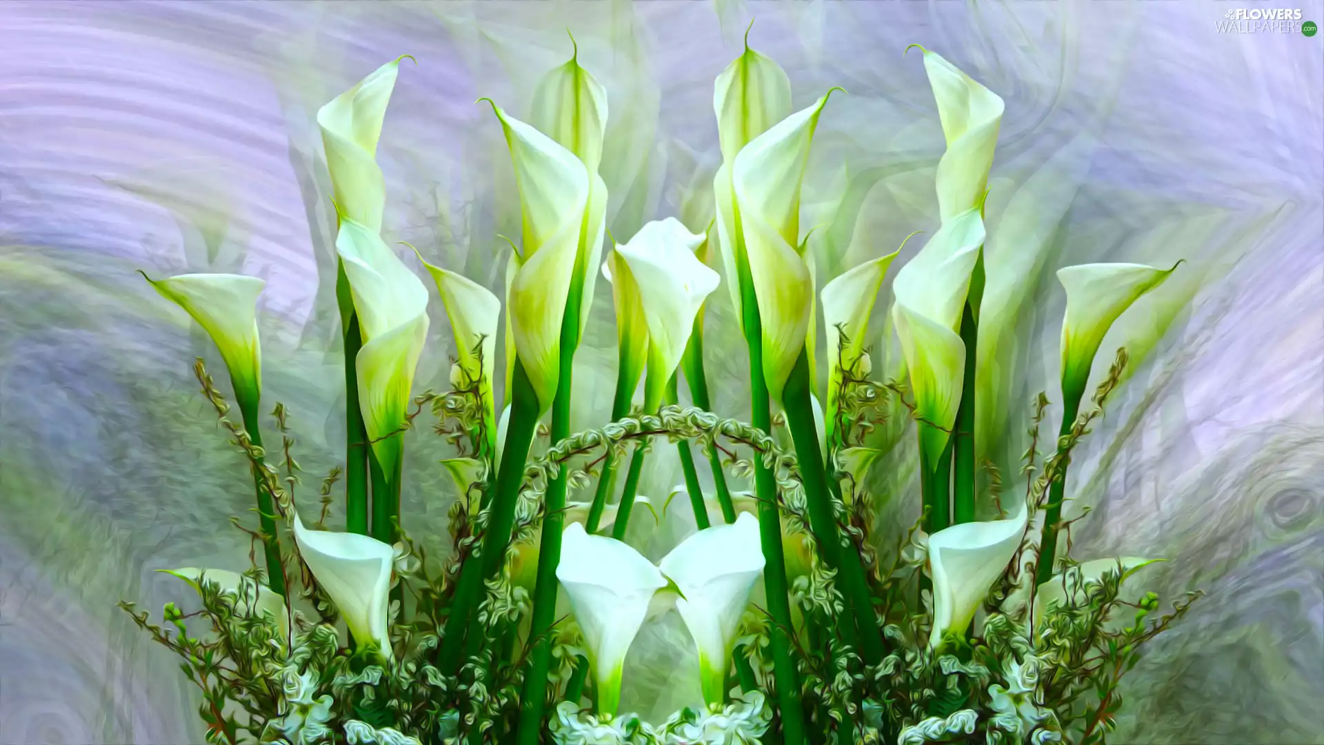 Flowers, Calla, 2D Graphics, White
