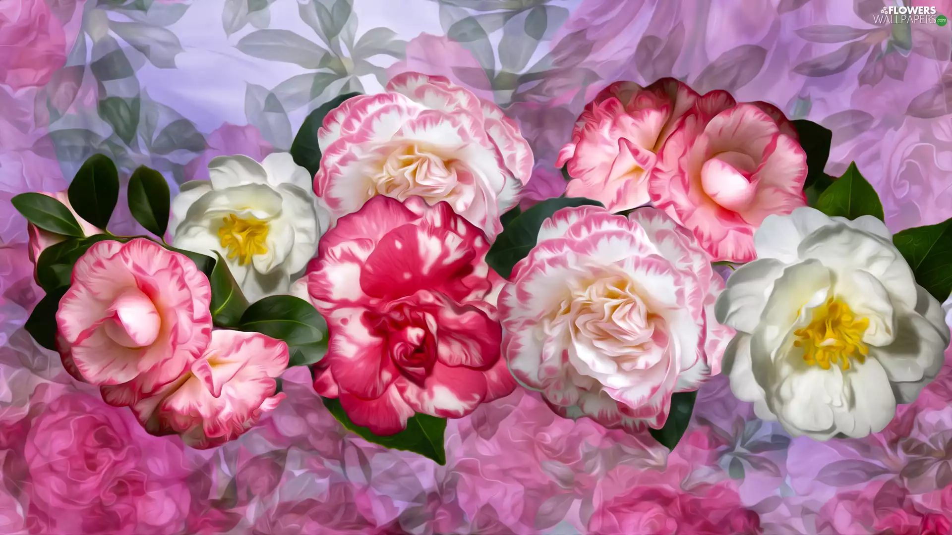 Flowers, Briar, graphics, Camellias