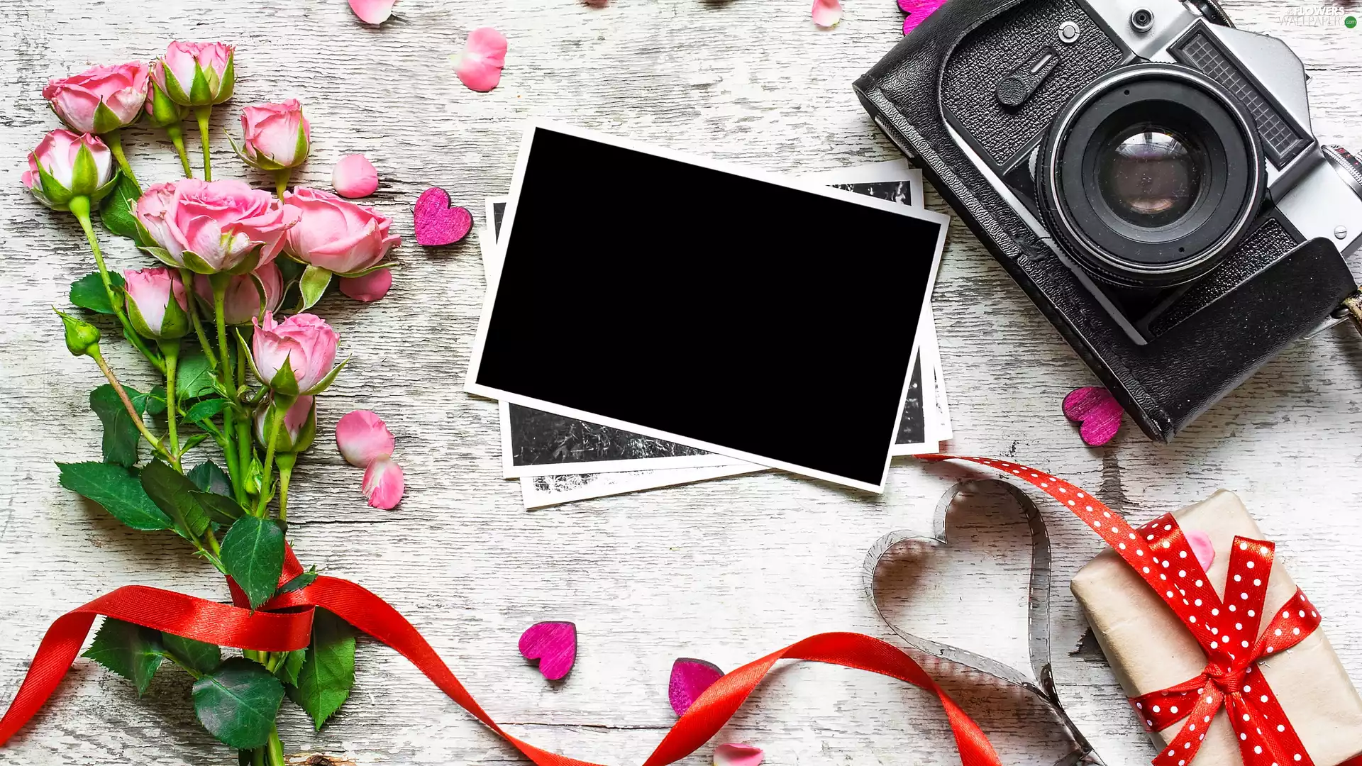 ribbon, photos, boarding, Present, hearts, roses, Flowers, Camera