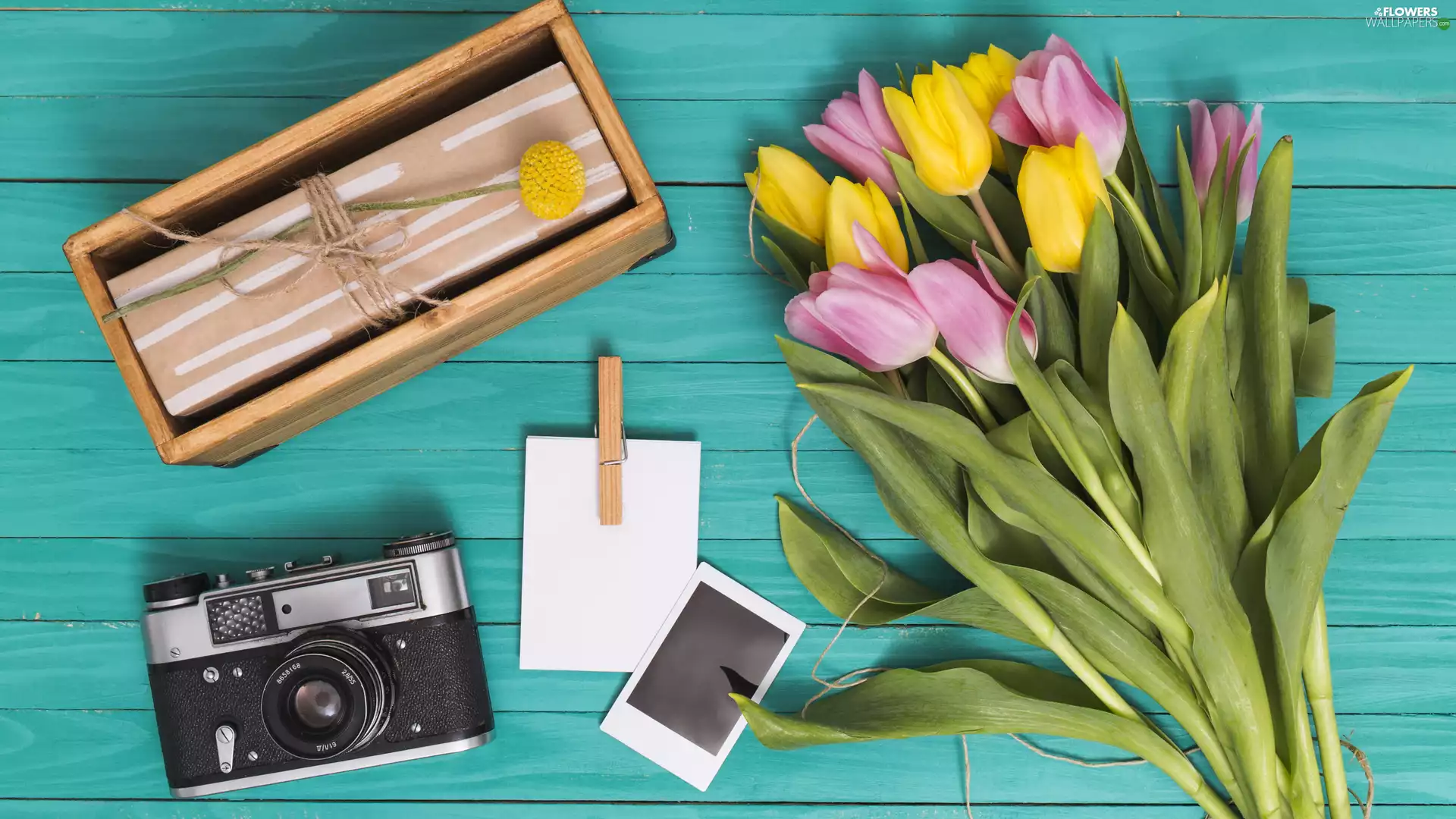 clip, bouquet, pack, Camera, Tulips, box, twine