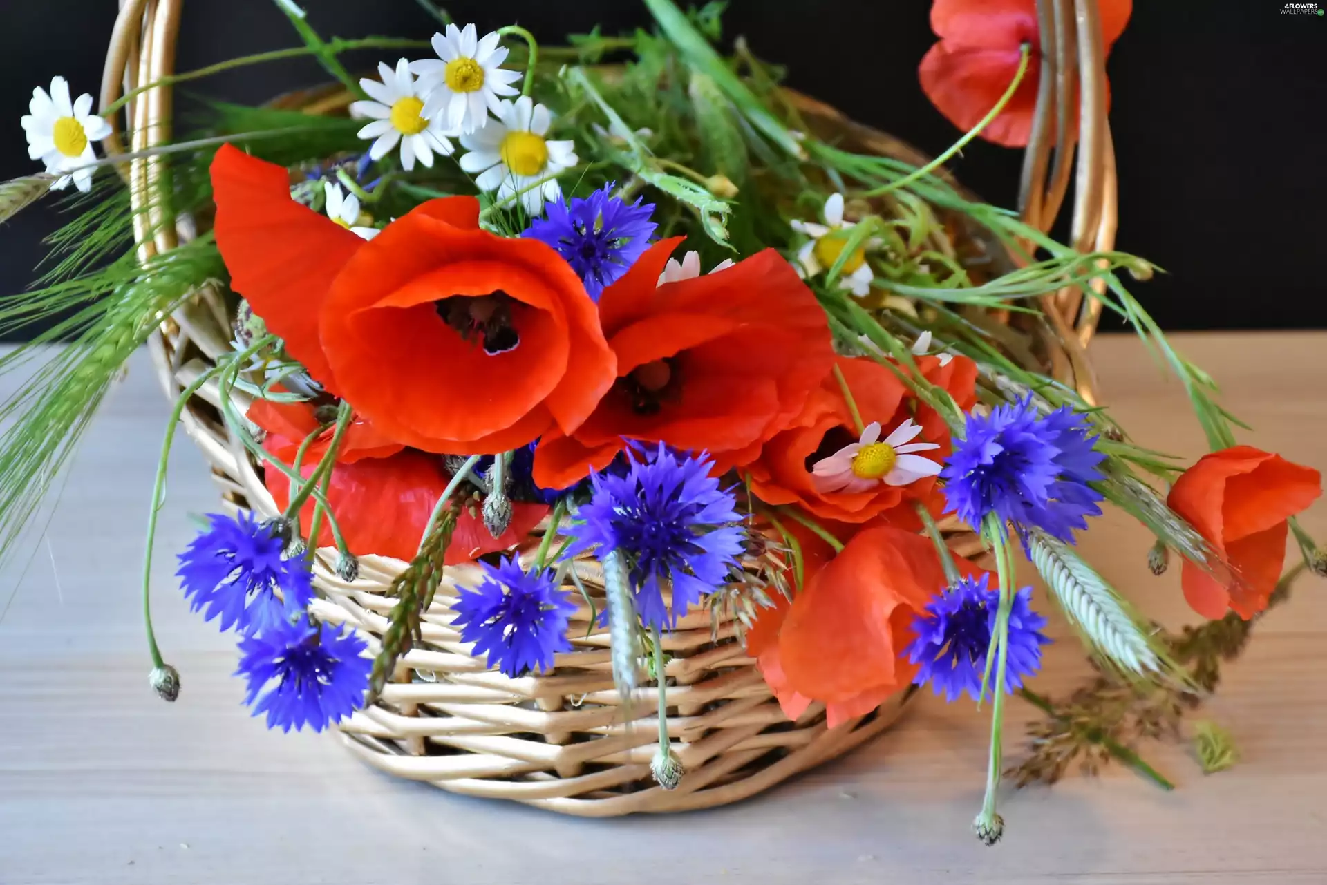 flowers, papavers, decoration, cornflowers, basket, wild, bouquet, camomiles
