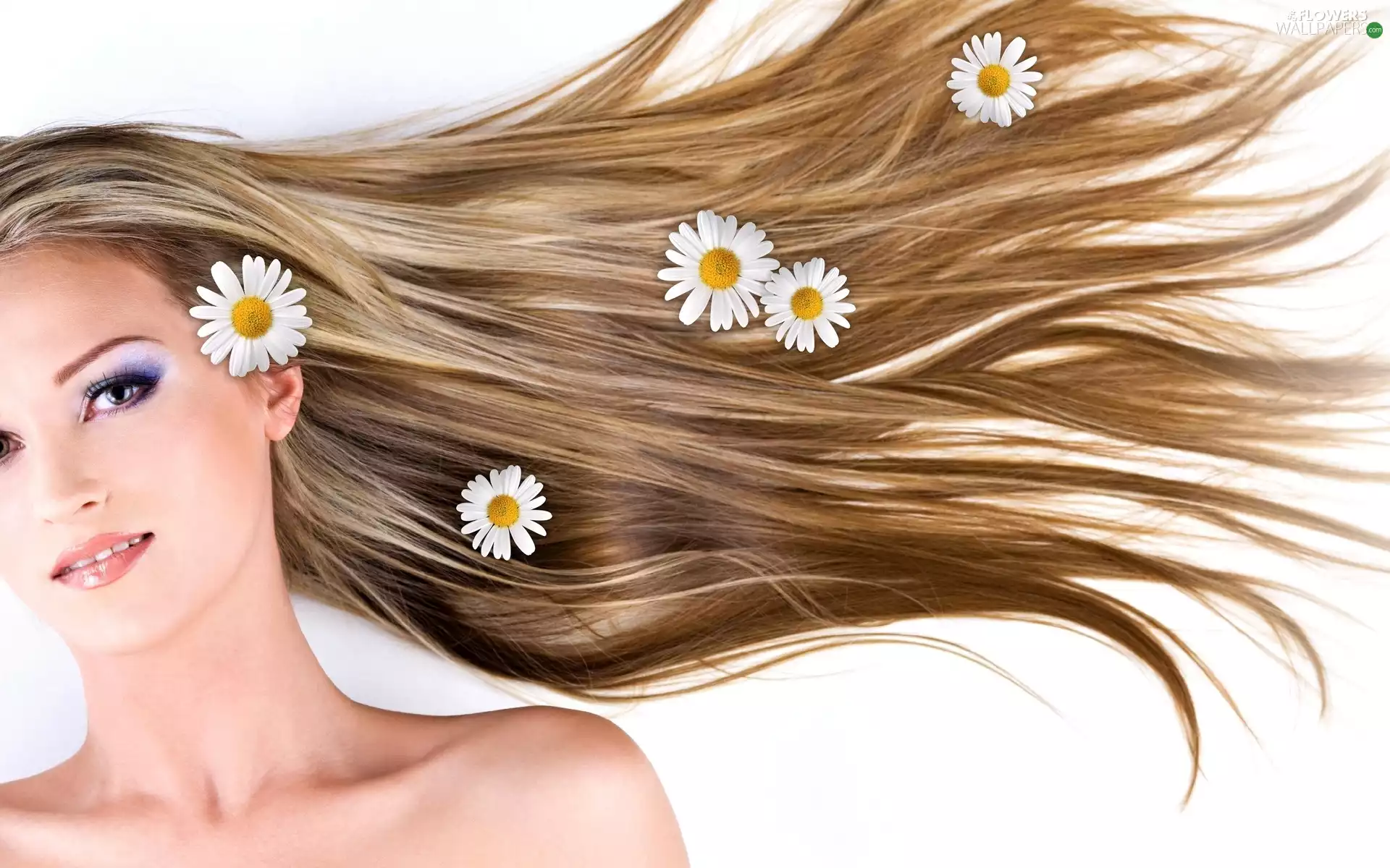 dispelled, face, Flowers, make-up, Women, Hair, camomiles