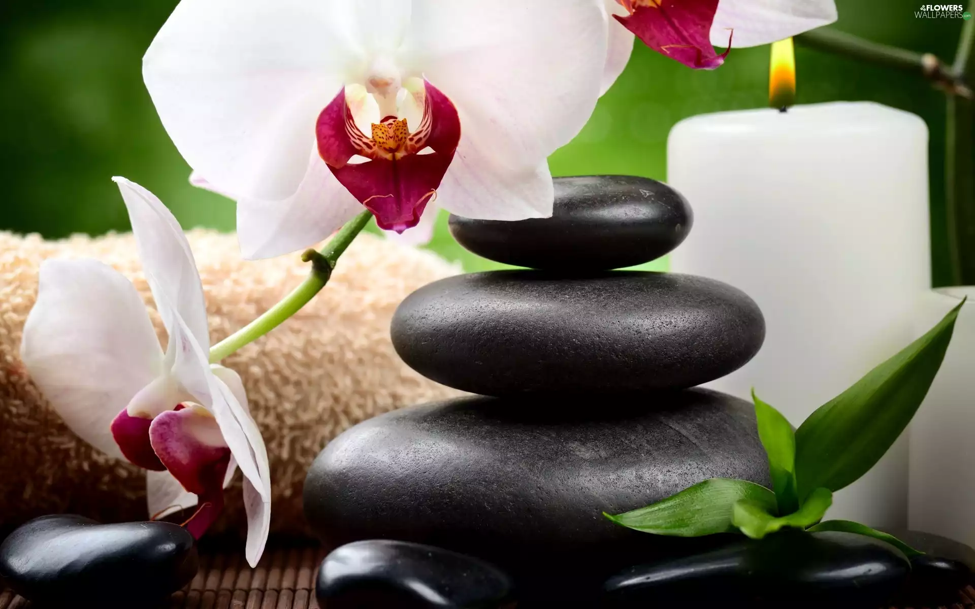 Spa, Composition Candle, candle, Stones, orchid
