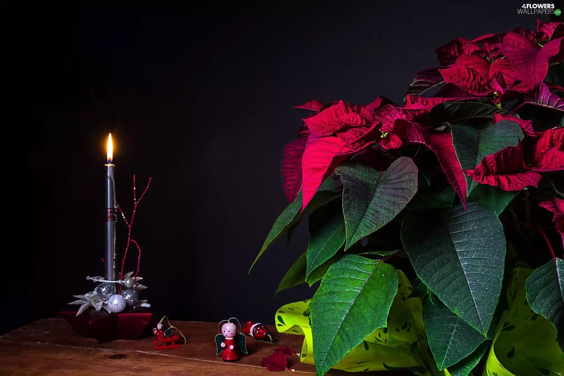 star of Bethlehem, Candle