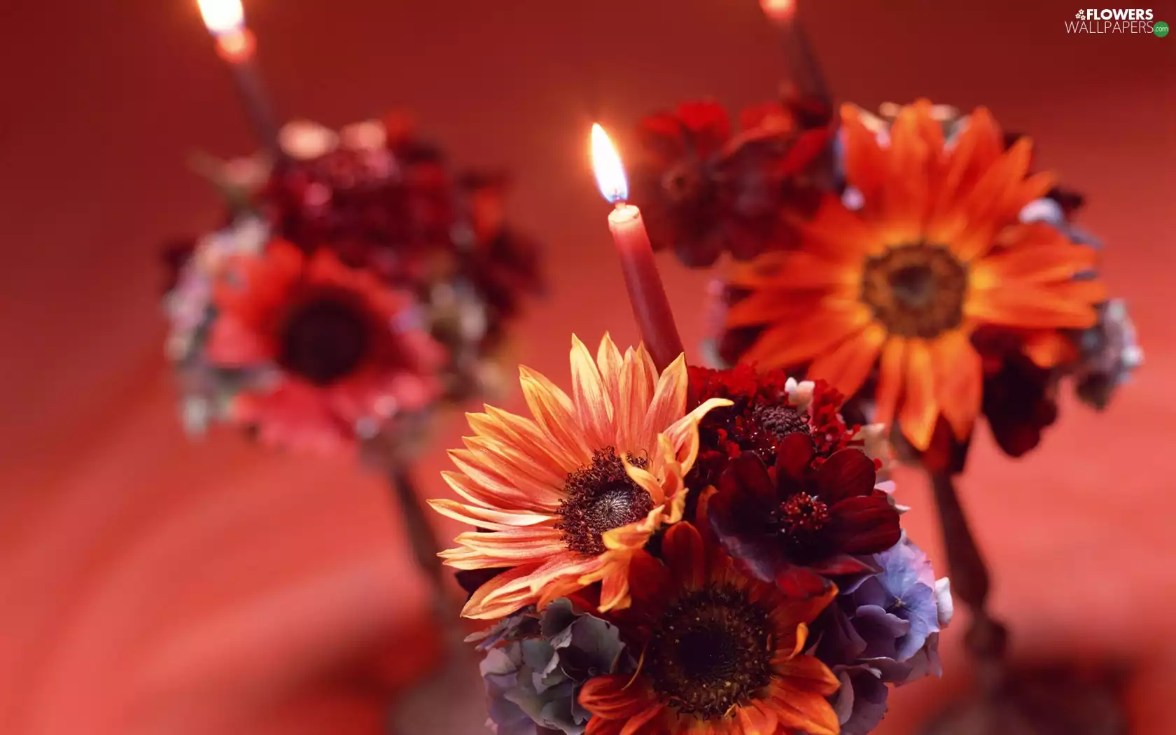 candles, bouquet, flowers