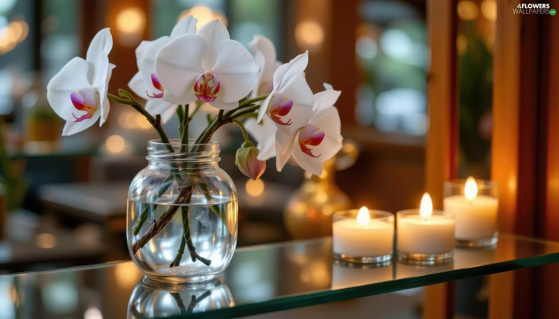 candles, orchids, jar