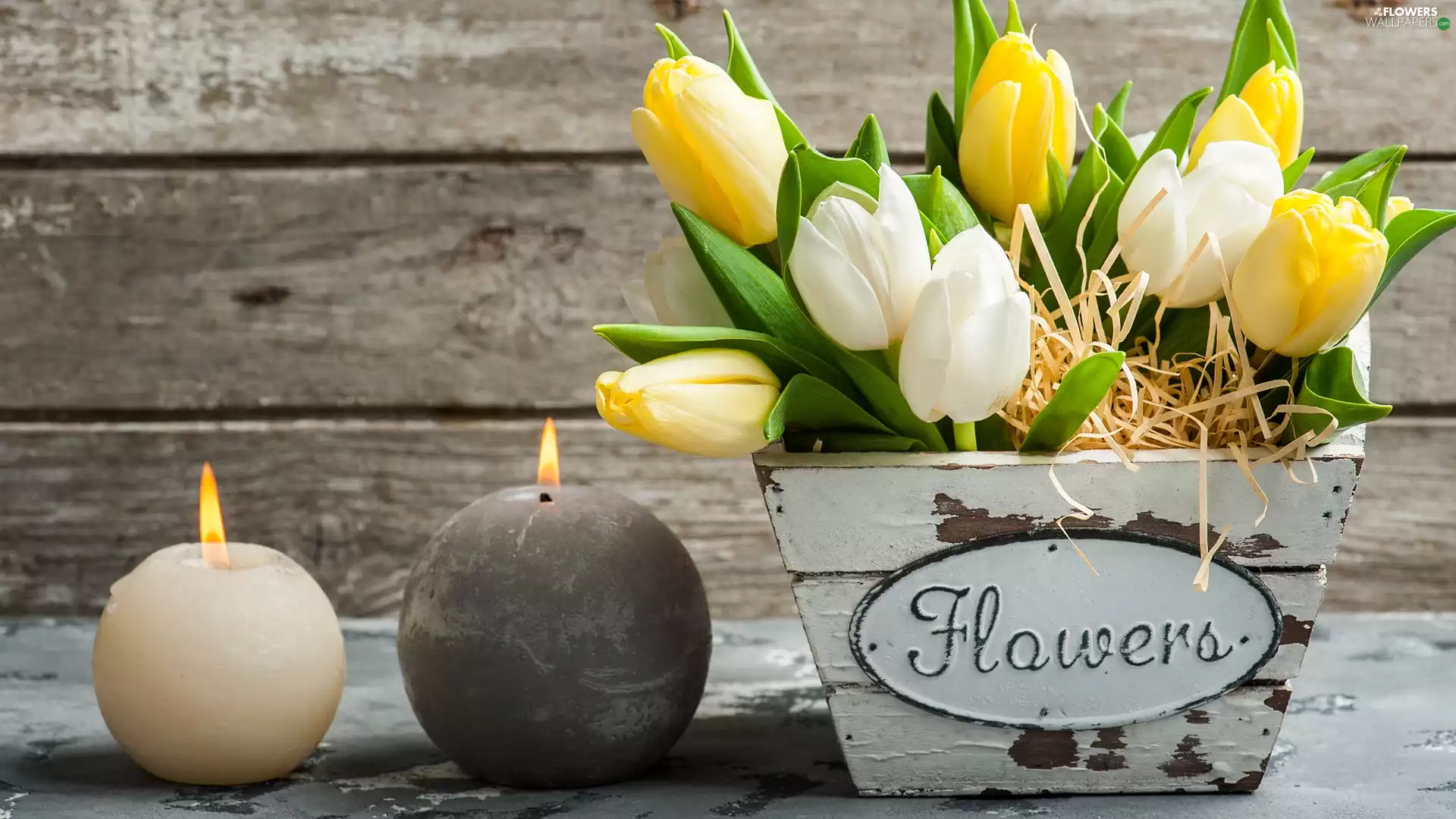 Two, Candles, Wooden, pot, Tulips