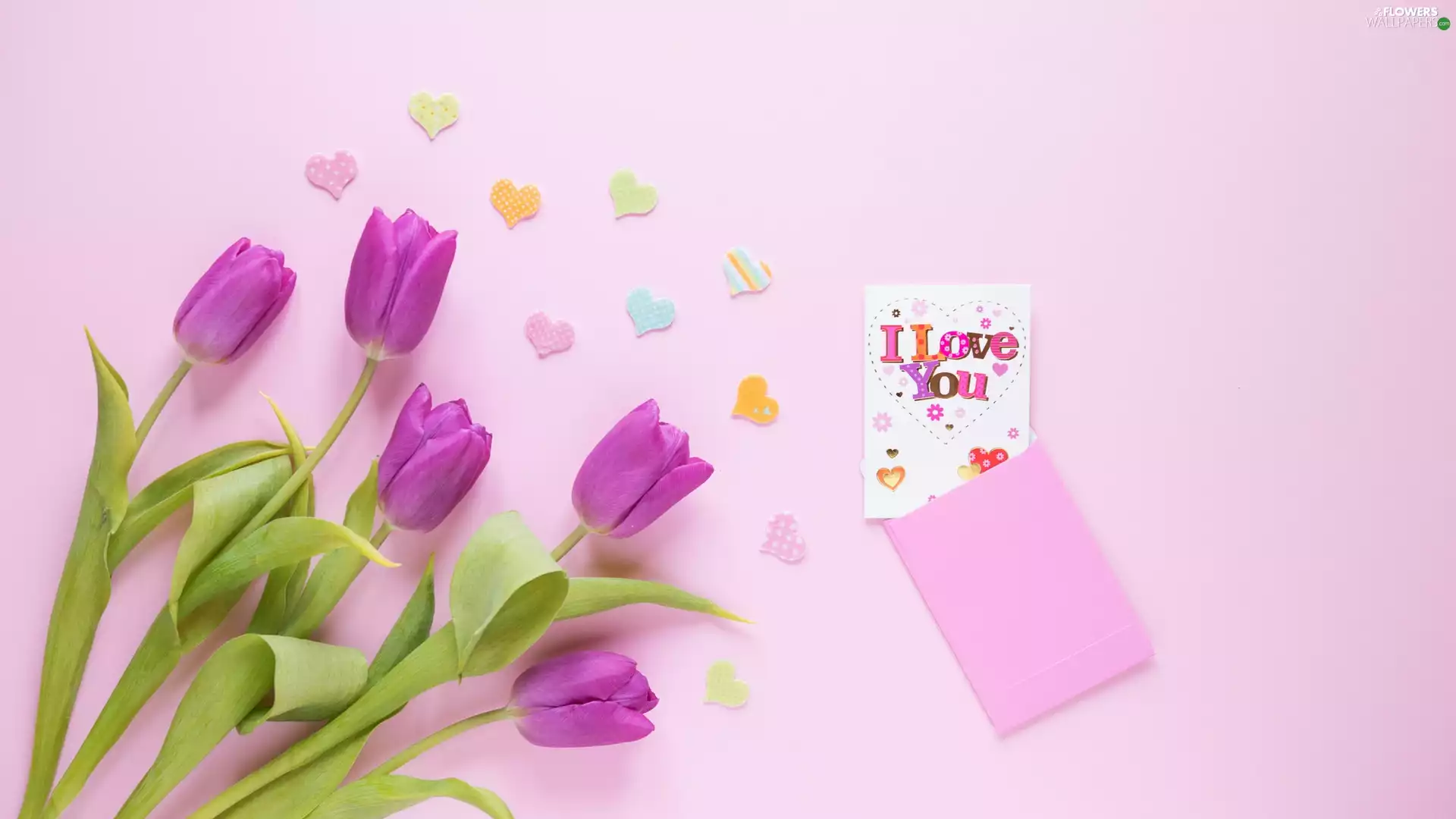 card, Tulips, I love you, hearts, Flowers, text, Pink Background