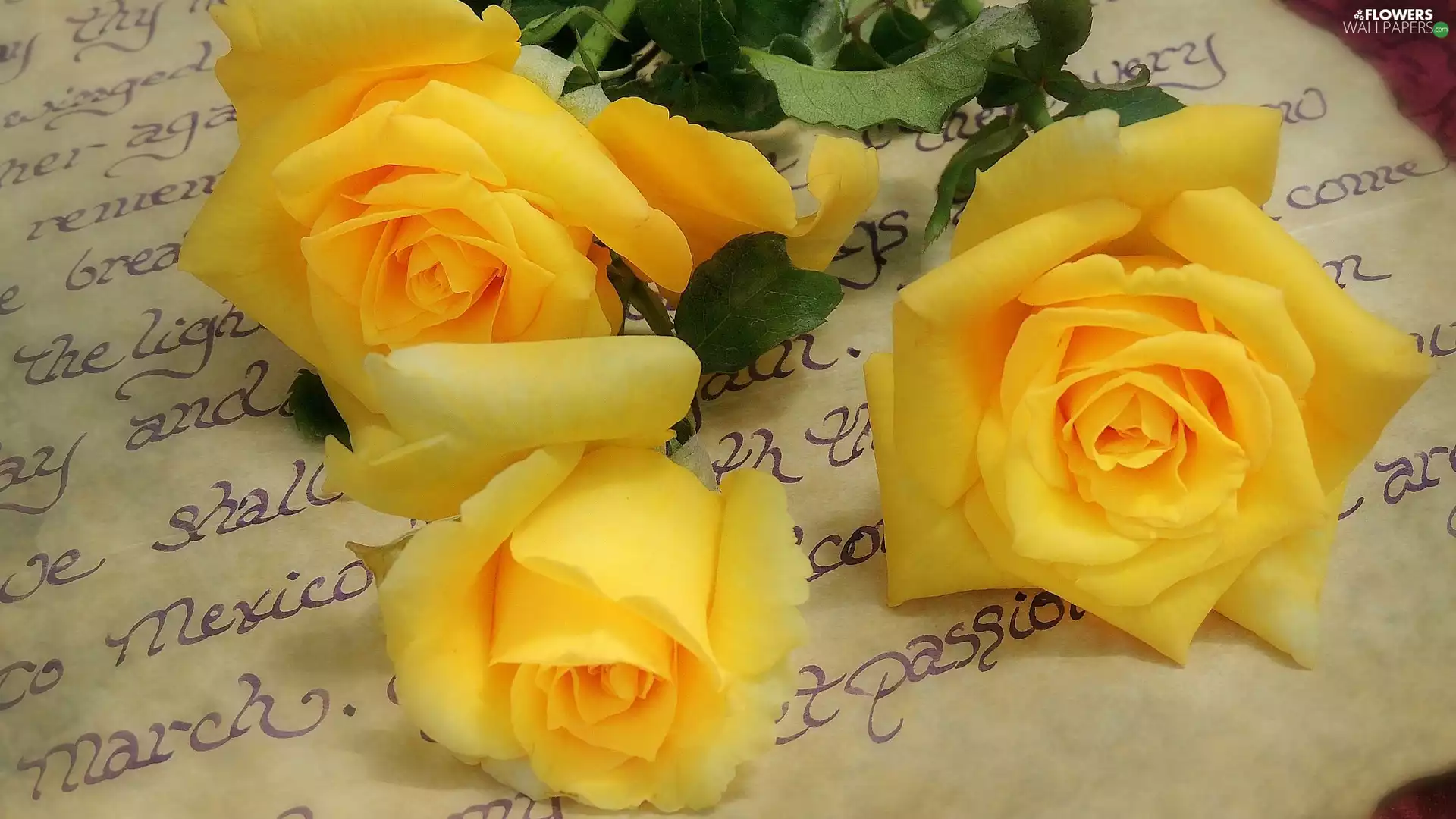 roses, Flowers, Saved, card, Yellow, Three