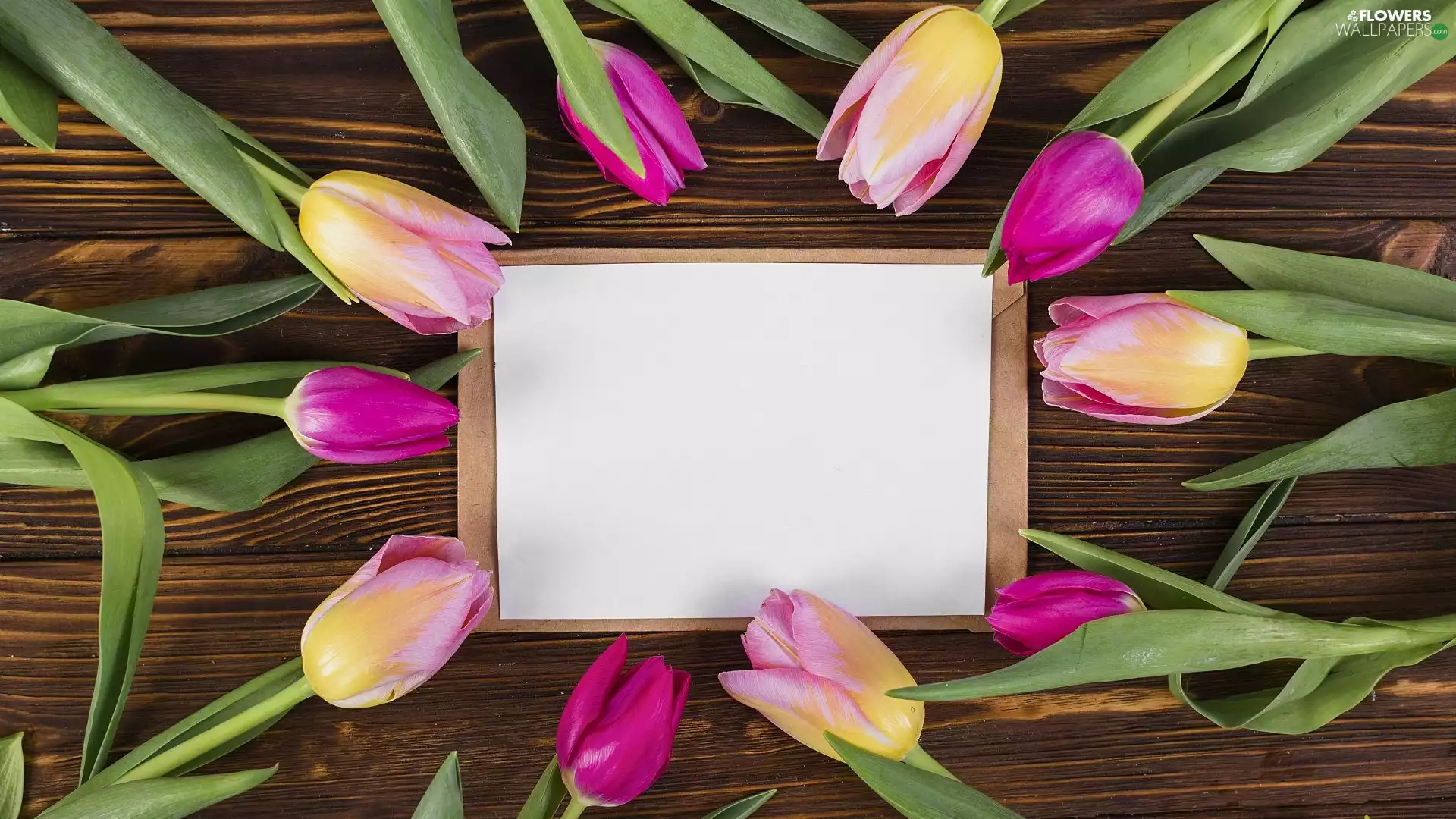 Tulips, envelope, boarding, card