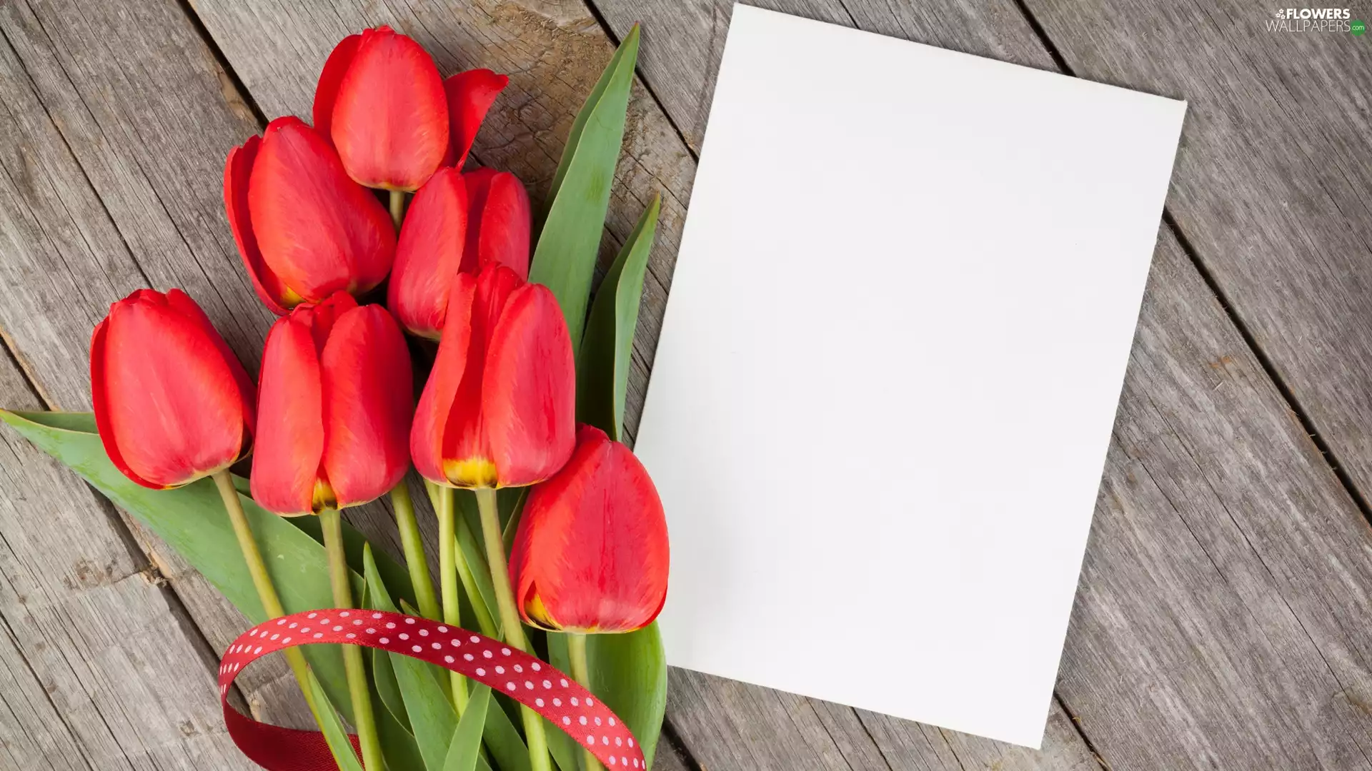 card, Flowers, Tulips