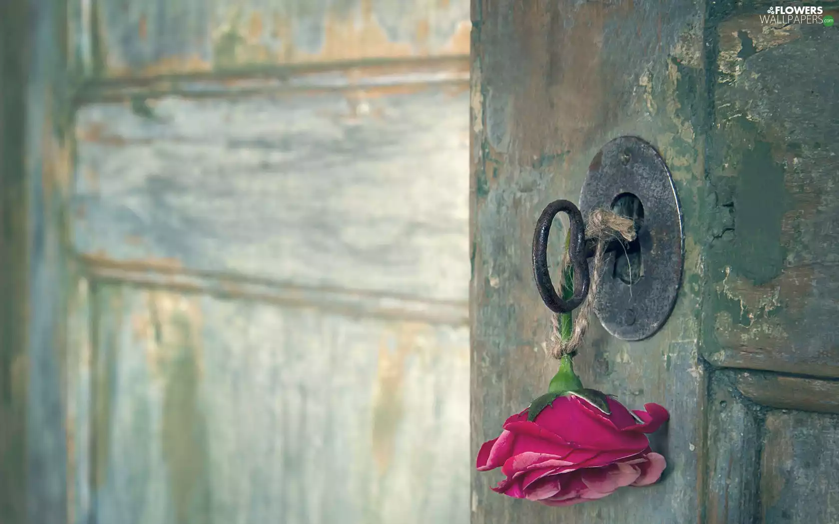 Doors, Key, rose, Castle