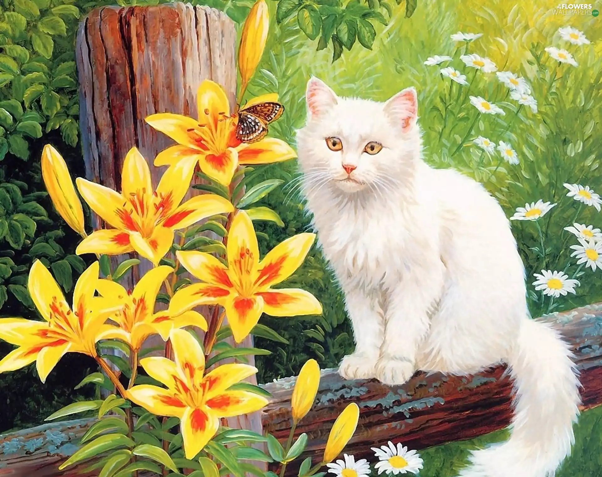 White, Yellow, lilies, cat