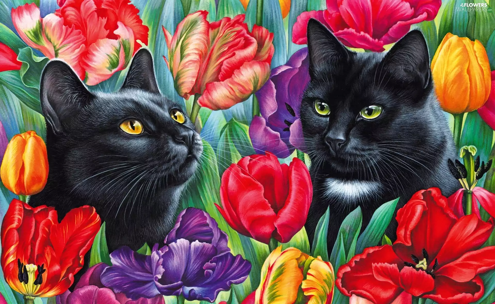 Black, Tulips, Drawing, cats