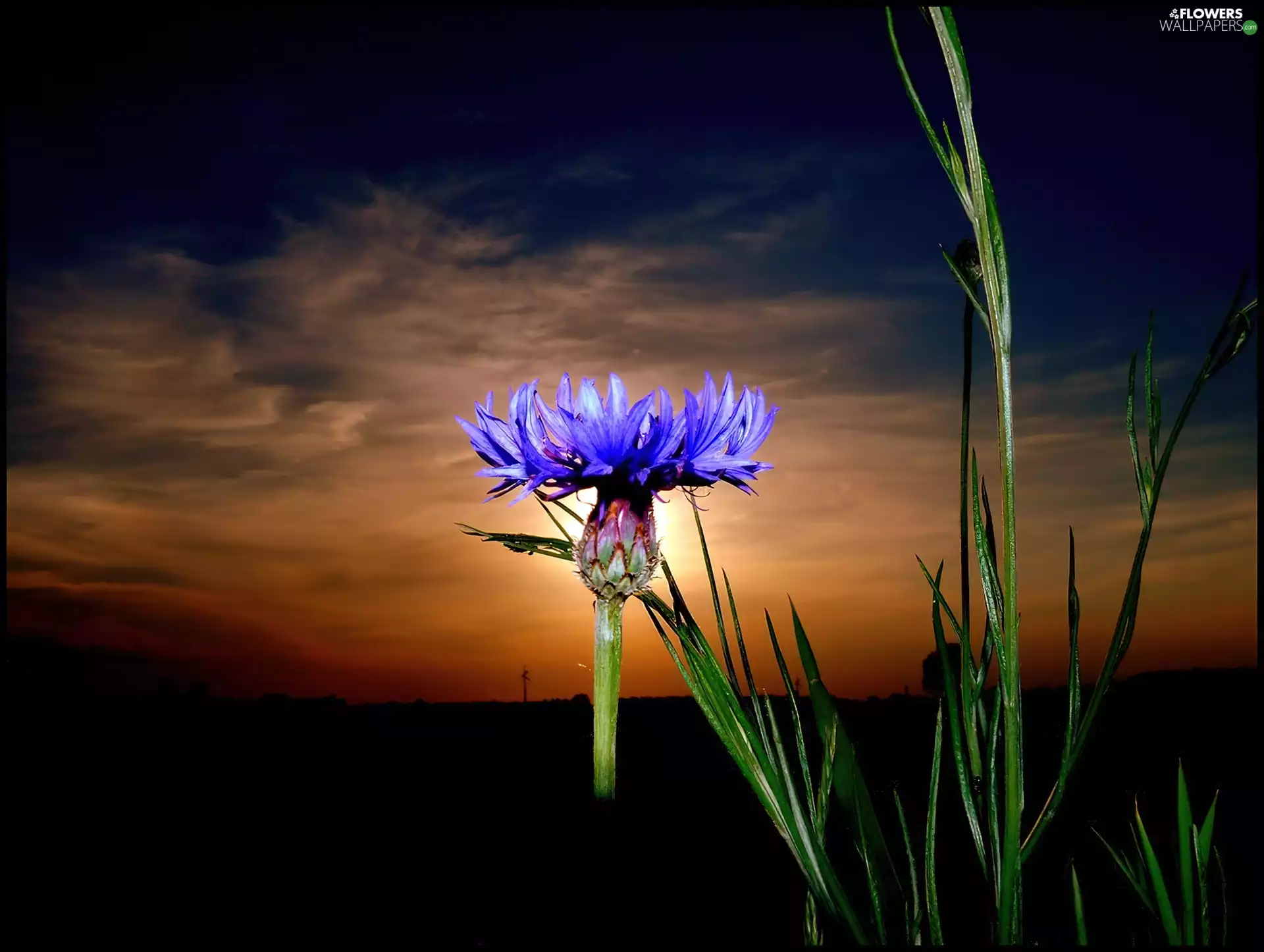 Chaber, Great Sunsets