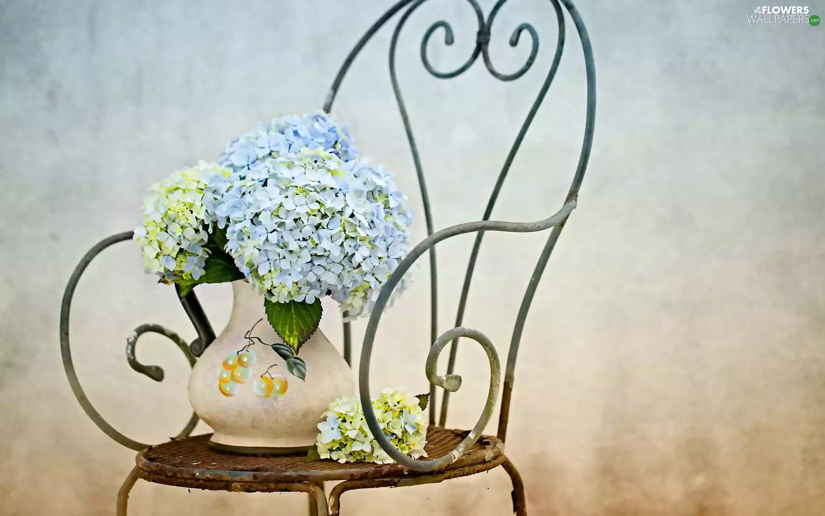 composition, Vase, Chair, hydrangeas