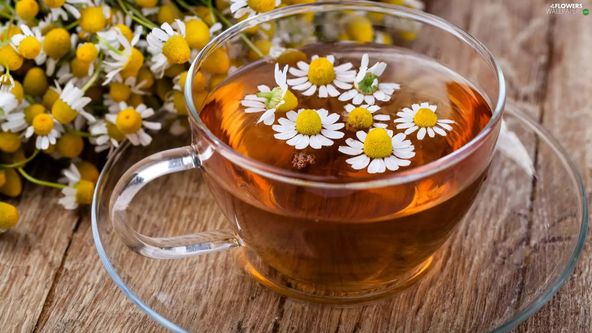 cup, chamomile, blurry background, tea