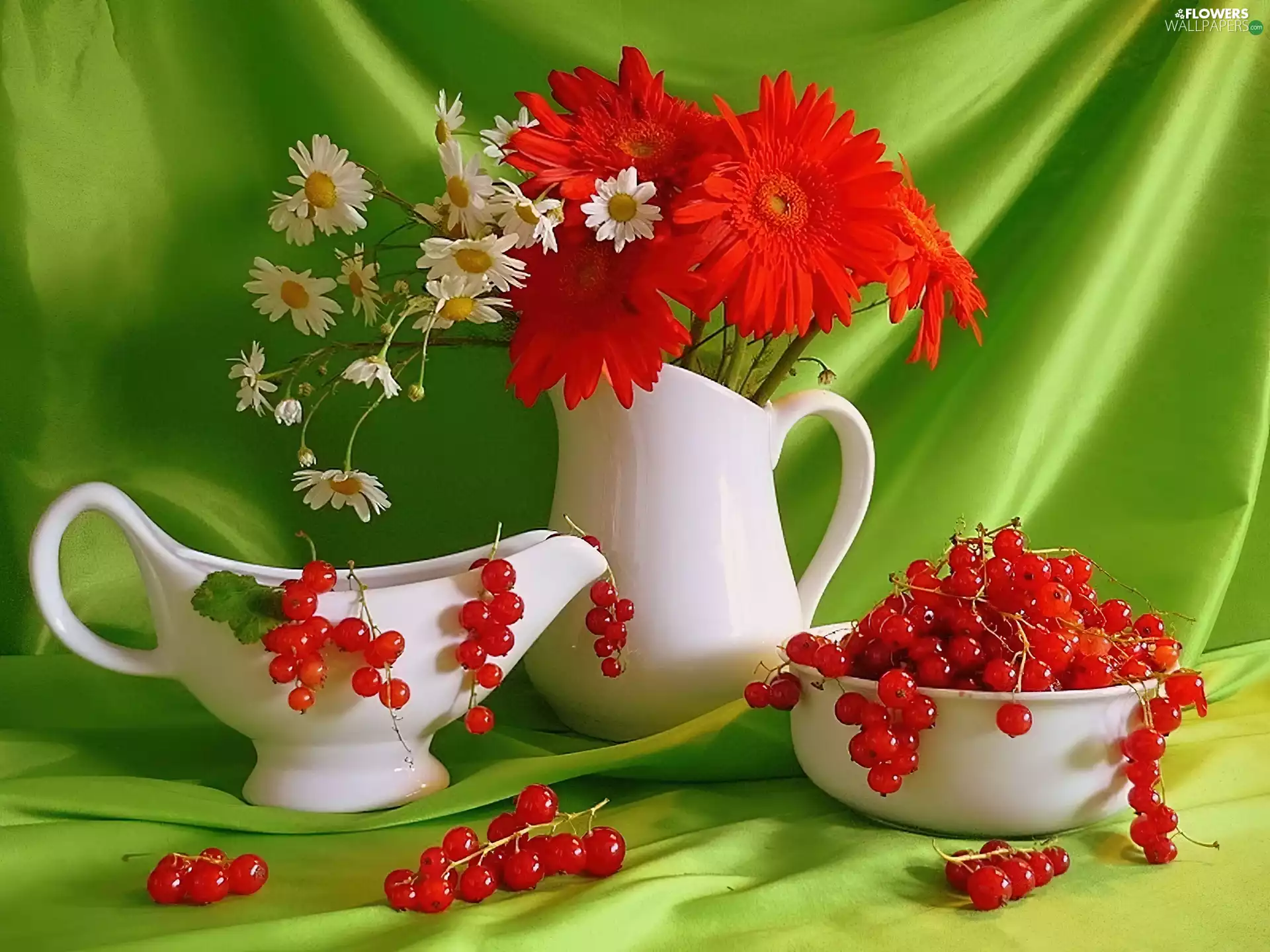 china, gerberas, currants, chamomile
