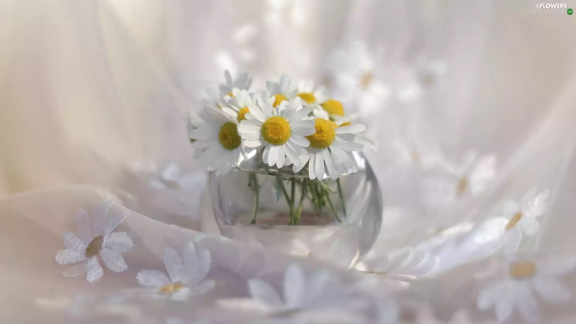 Corn Chamomile, tablecloth, Flowers, vase