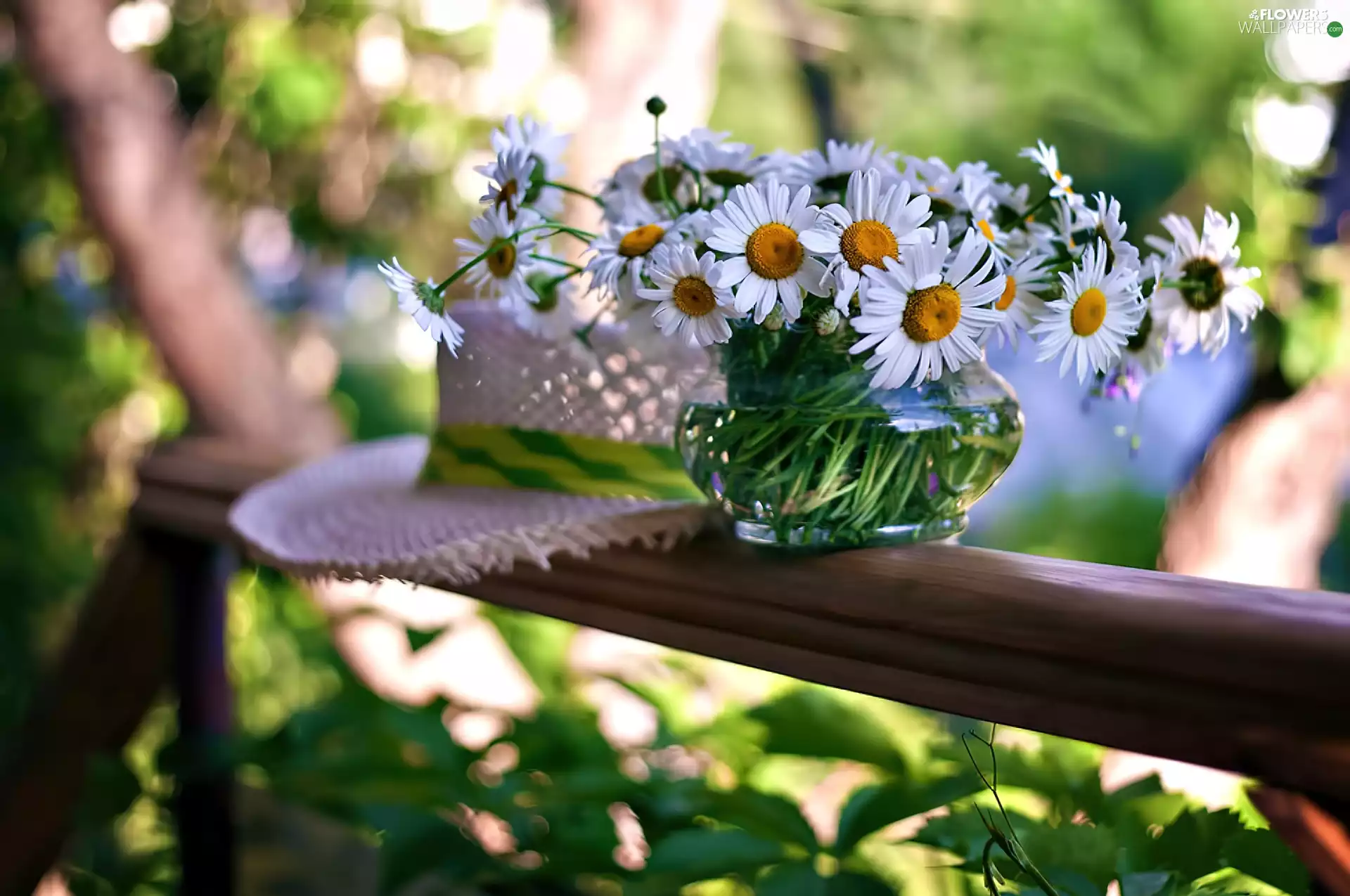 vase, bouquet, Hat, chamomile