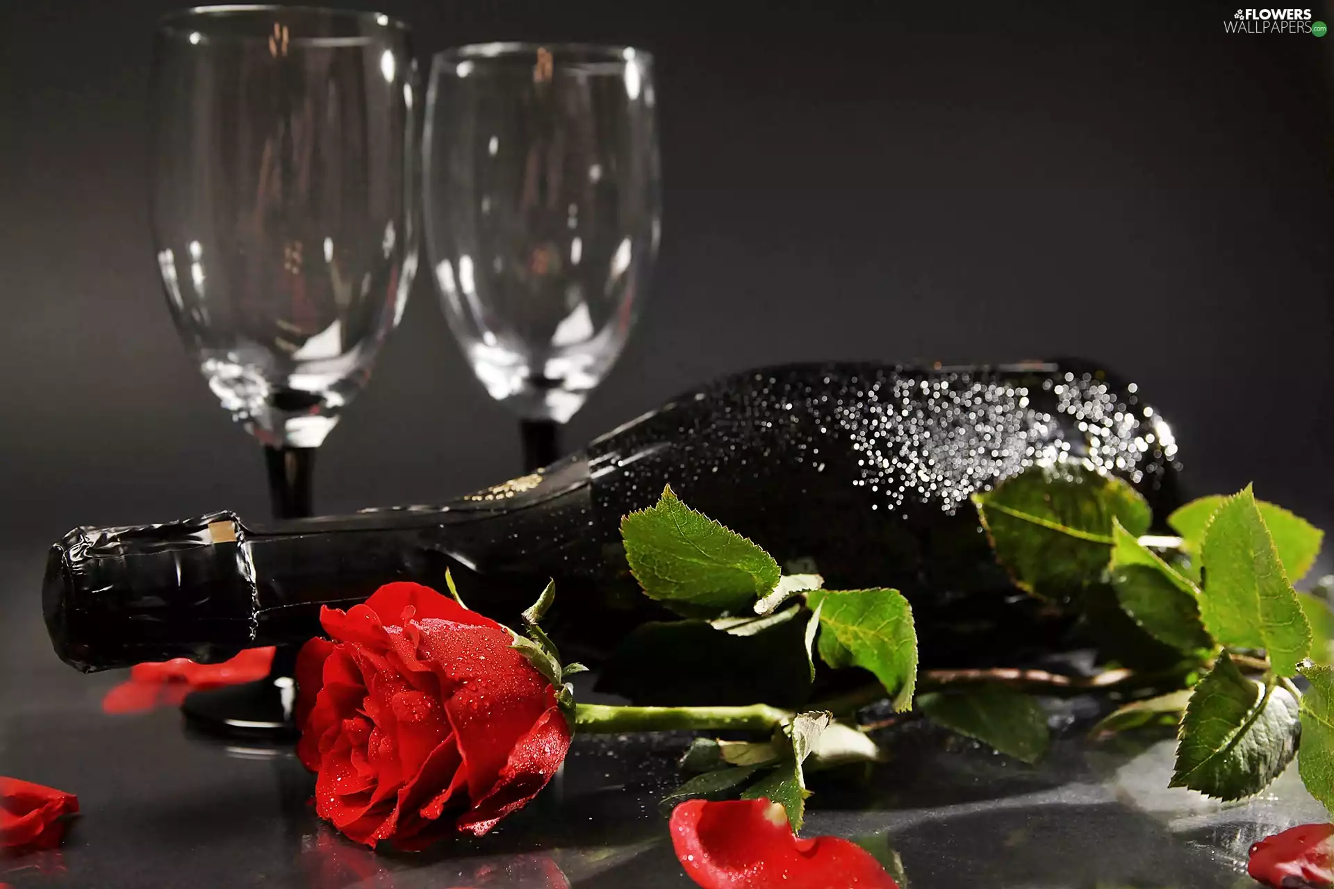 champagne, glasses, rose, Bottle, red hot