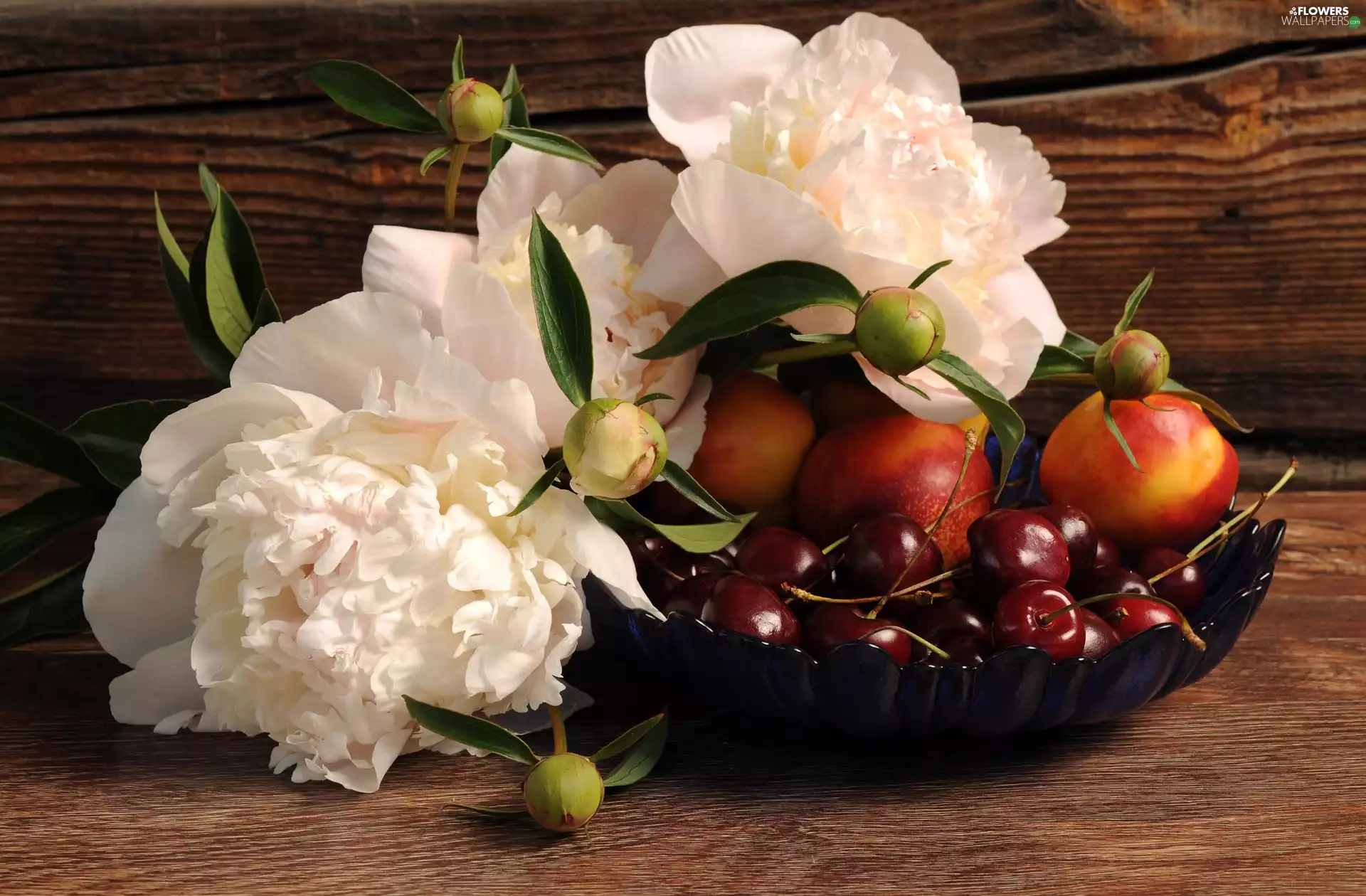 Peonies, nectarines, composition, cherries