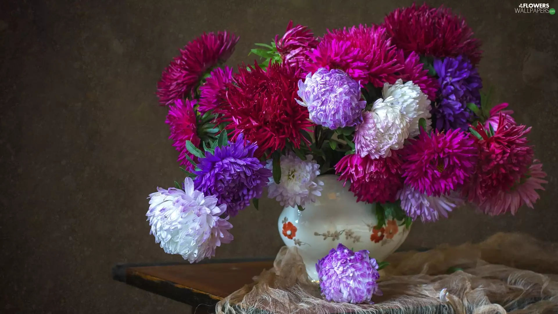 China Aster, bouquet