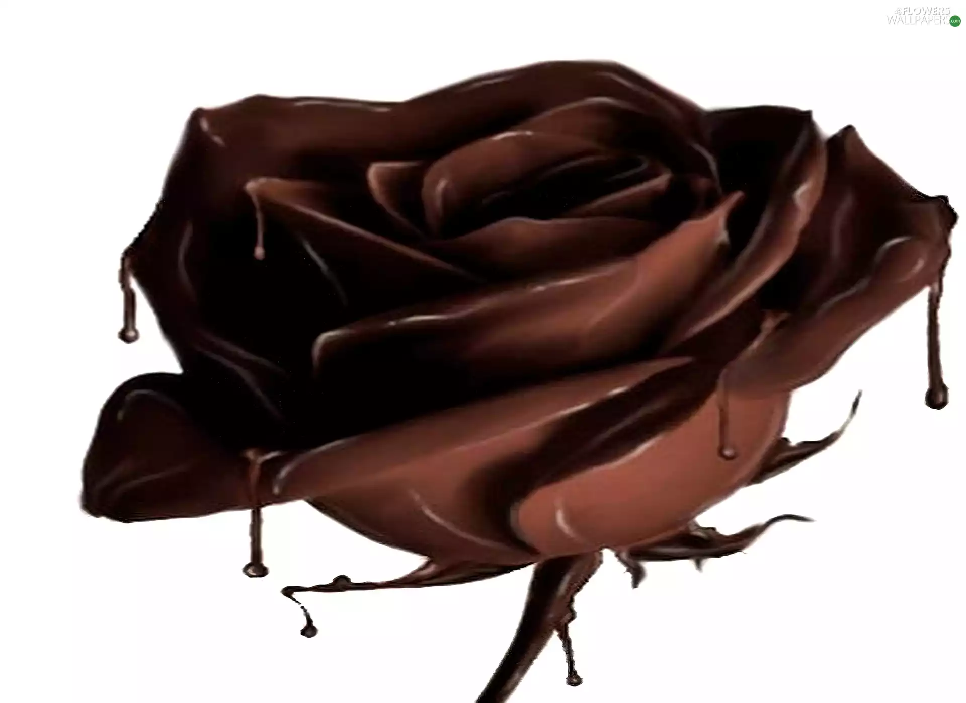 Chocolate, rose