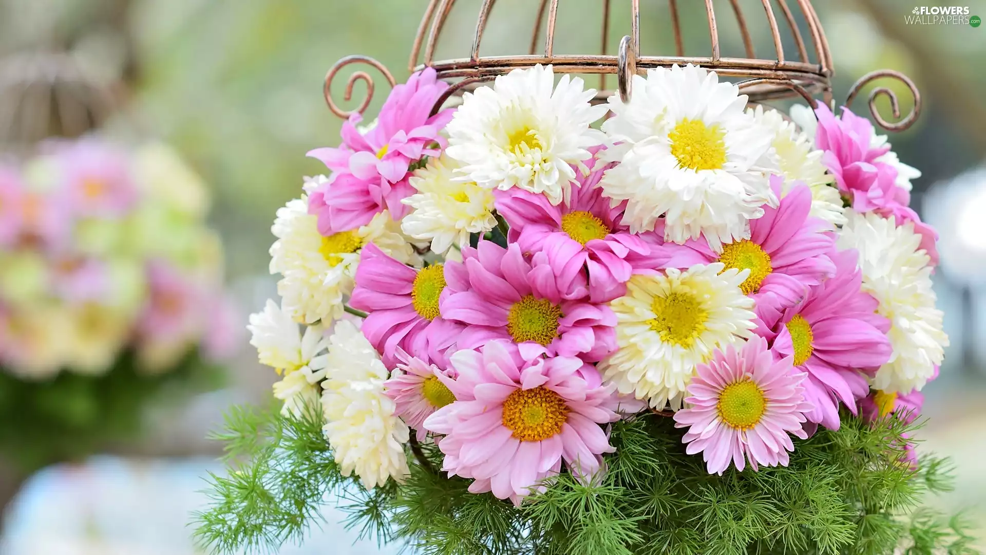 chrysanthemum, bouquet, flowers