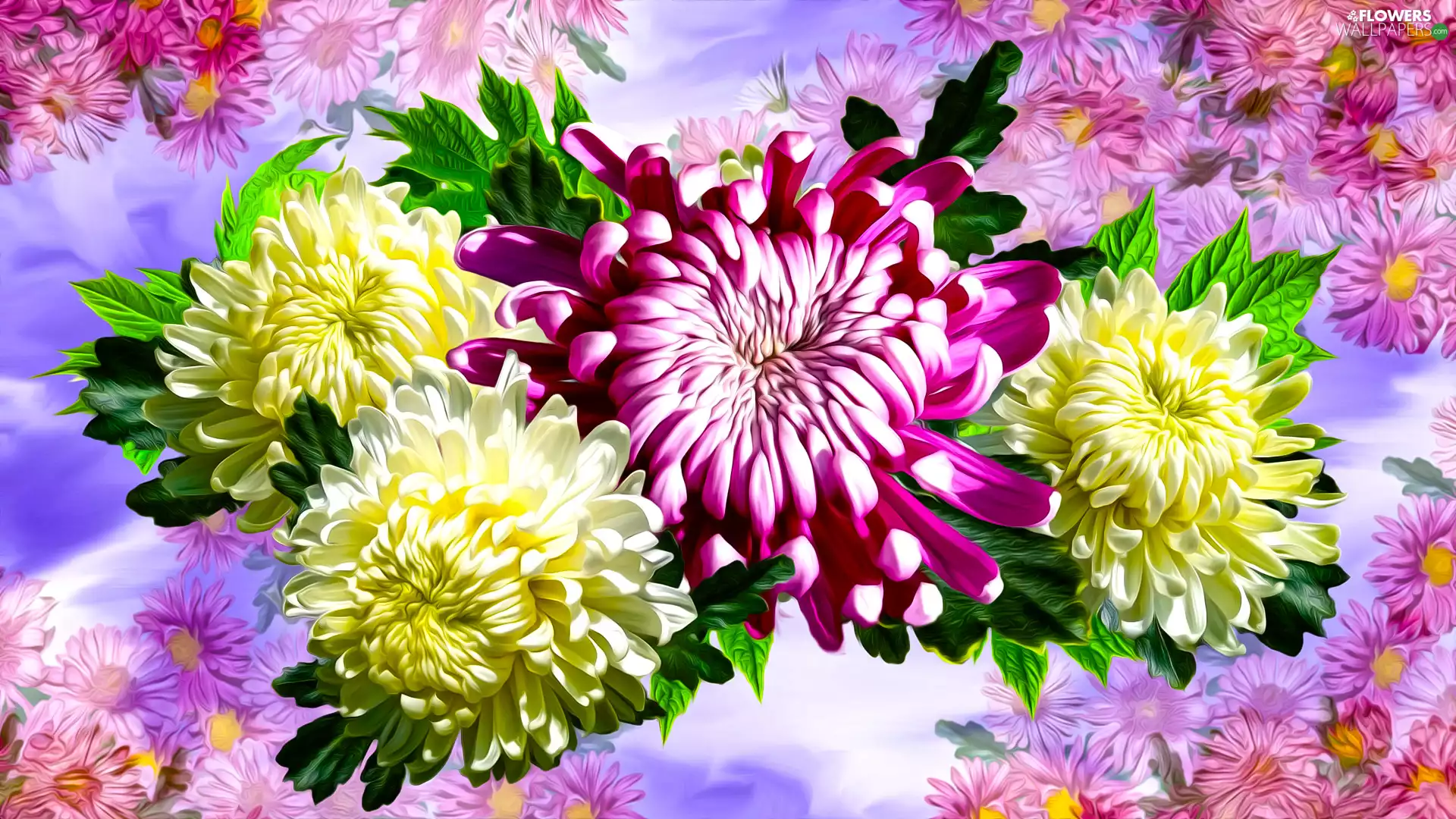 Flowers, Leaf, graphics, chrysanthemum