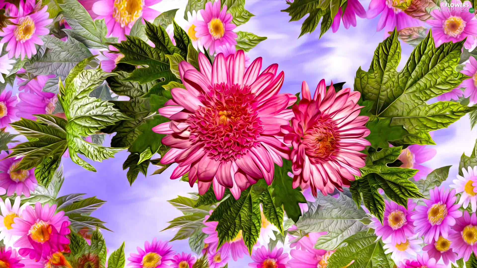 Flowers, leaves, graphics, Chrysanthemums