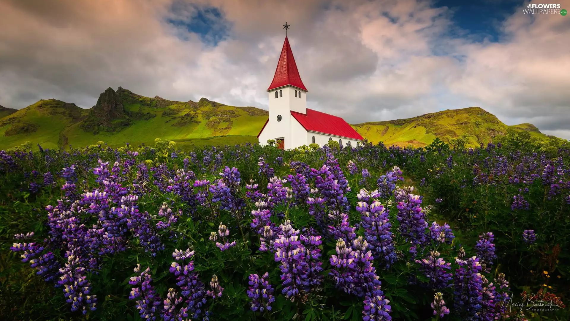 lupine, green ones, iceland, Mountains, Myrdalshreppur Municipality, Meadow, Church, Vík í Mýrdal Village