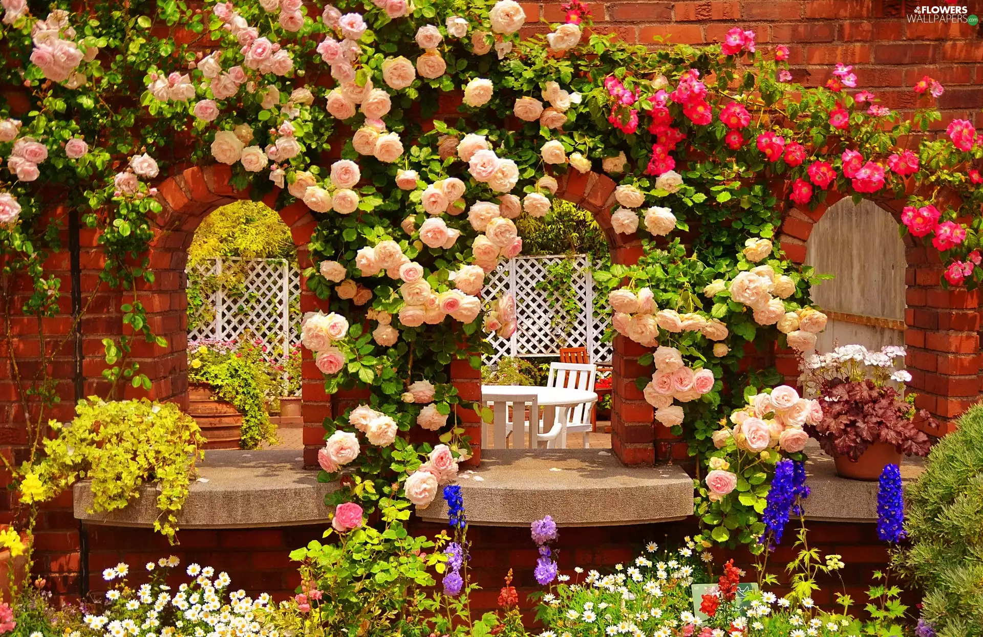 Garden, roses, Flowers, Climbing