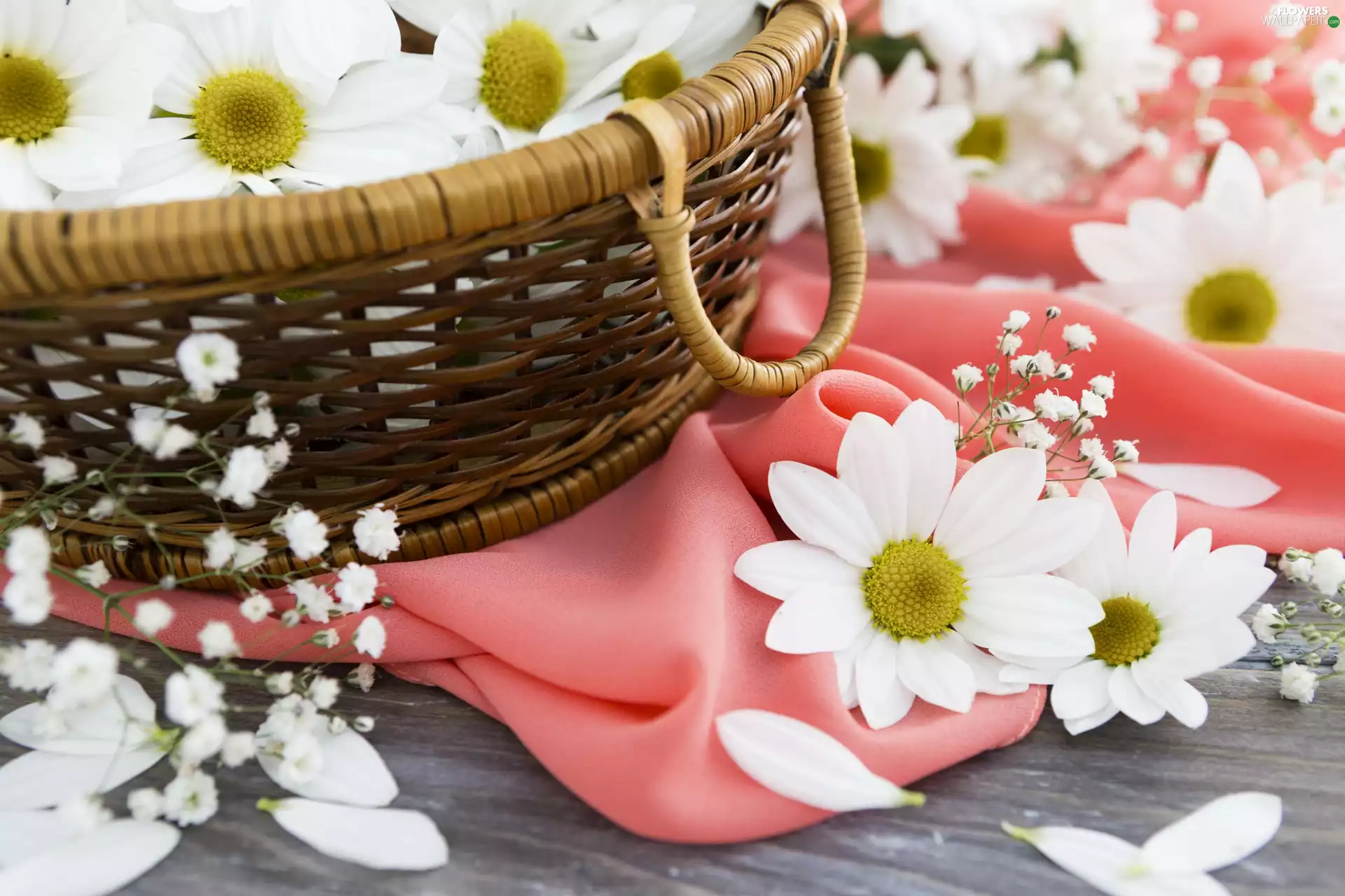 flakes, cloth, daisy, basket, Flowers