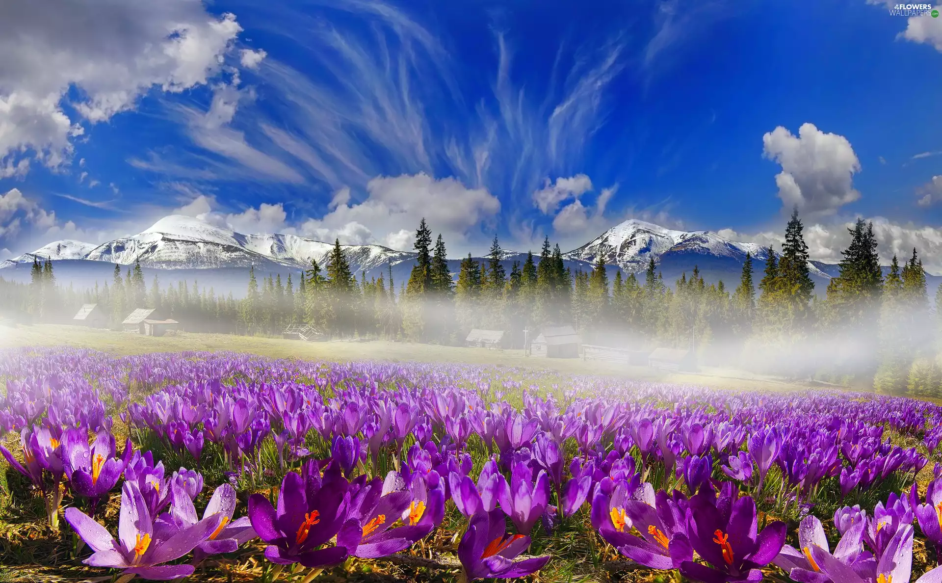 Houses, Mountains, Spring, Sky, Fog, Meadow, crocuses, clouds