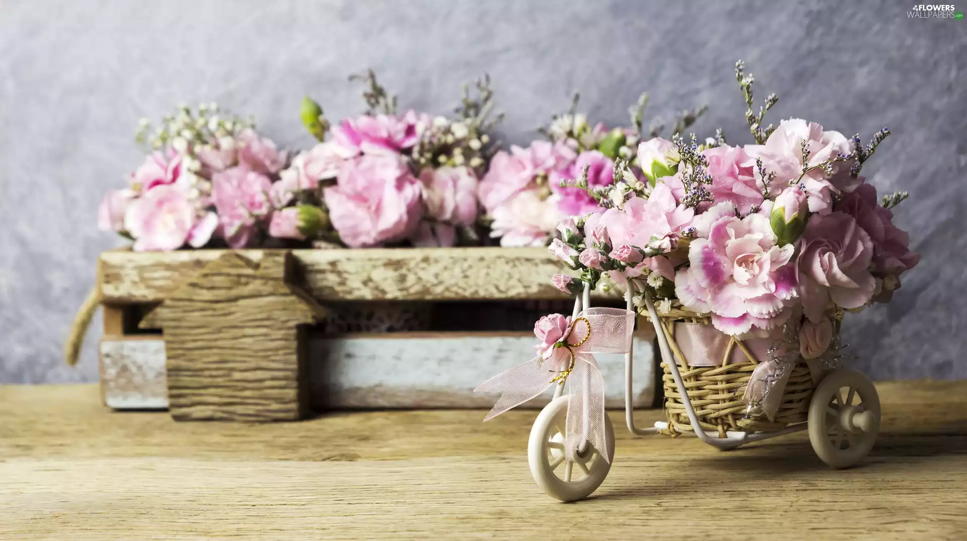 box, decoration, Flowers, Clove Pink, Bicycle