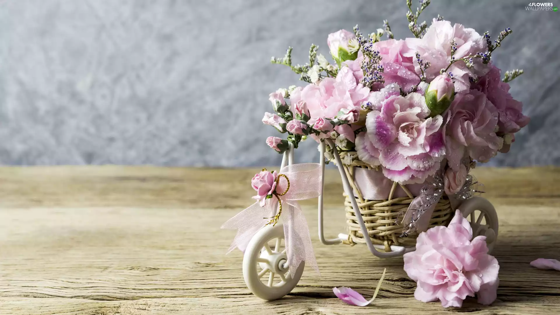 Bicycle, Clove Pink, decoration, Flowers