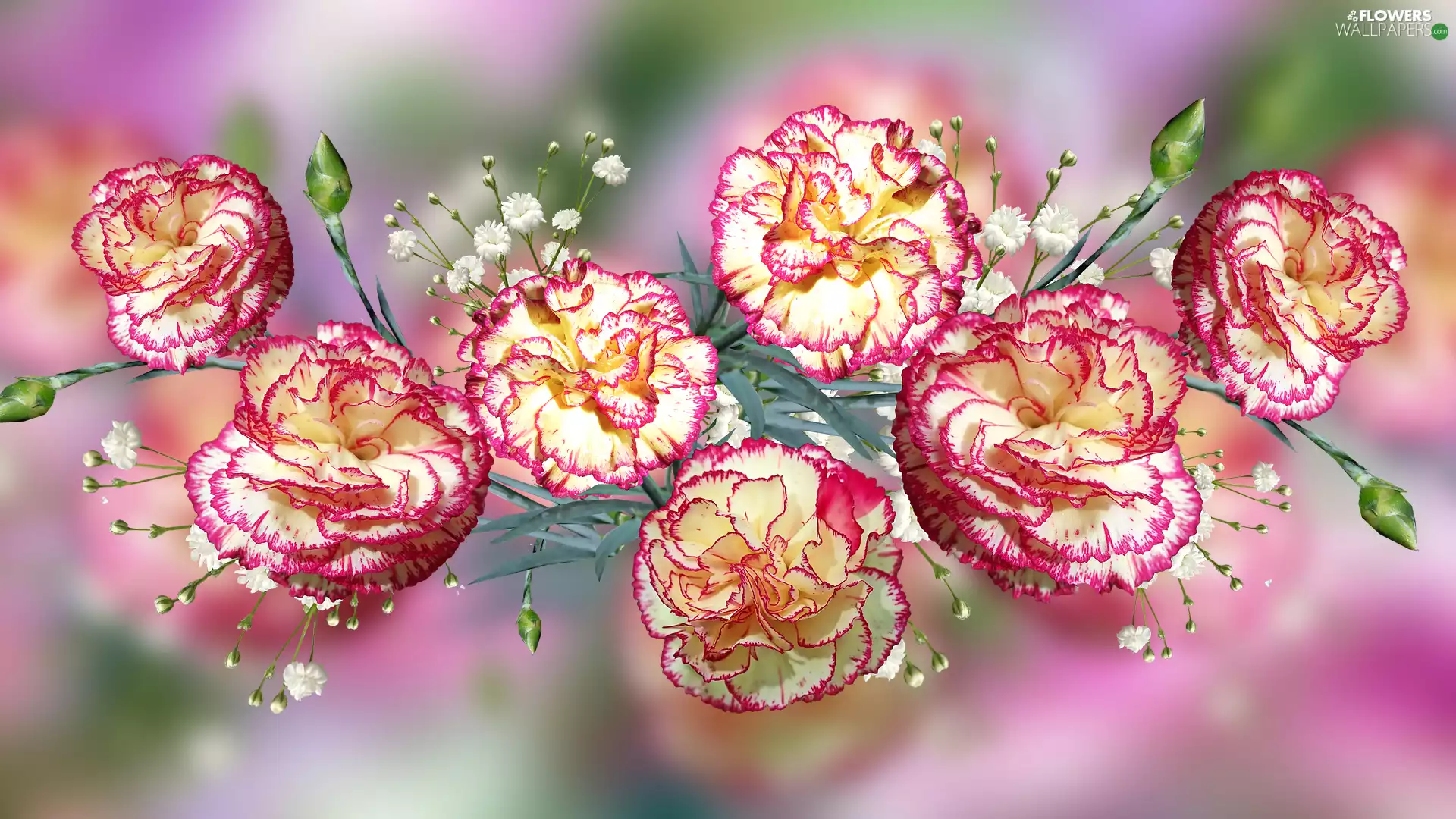 2D Graphics, Flowers, cloves