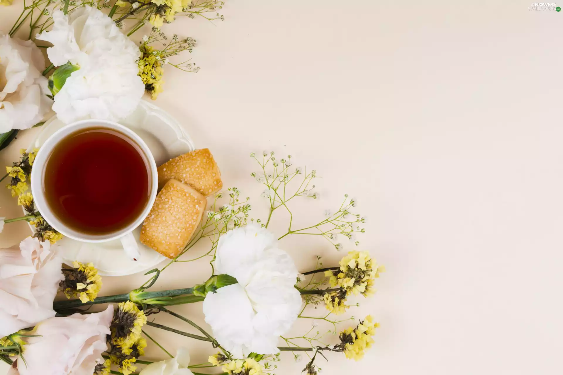 saucer, tea, Flowers, cloves, Cookies, cup