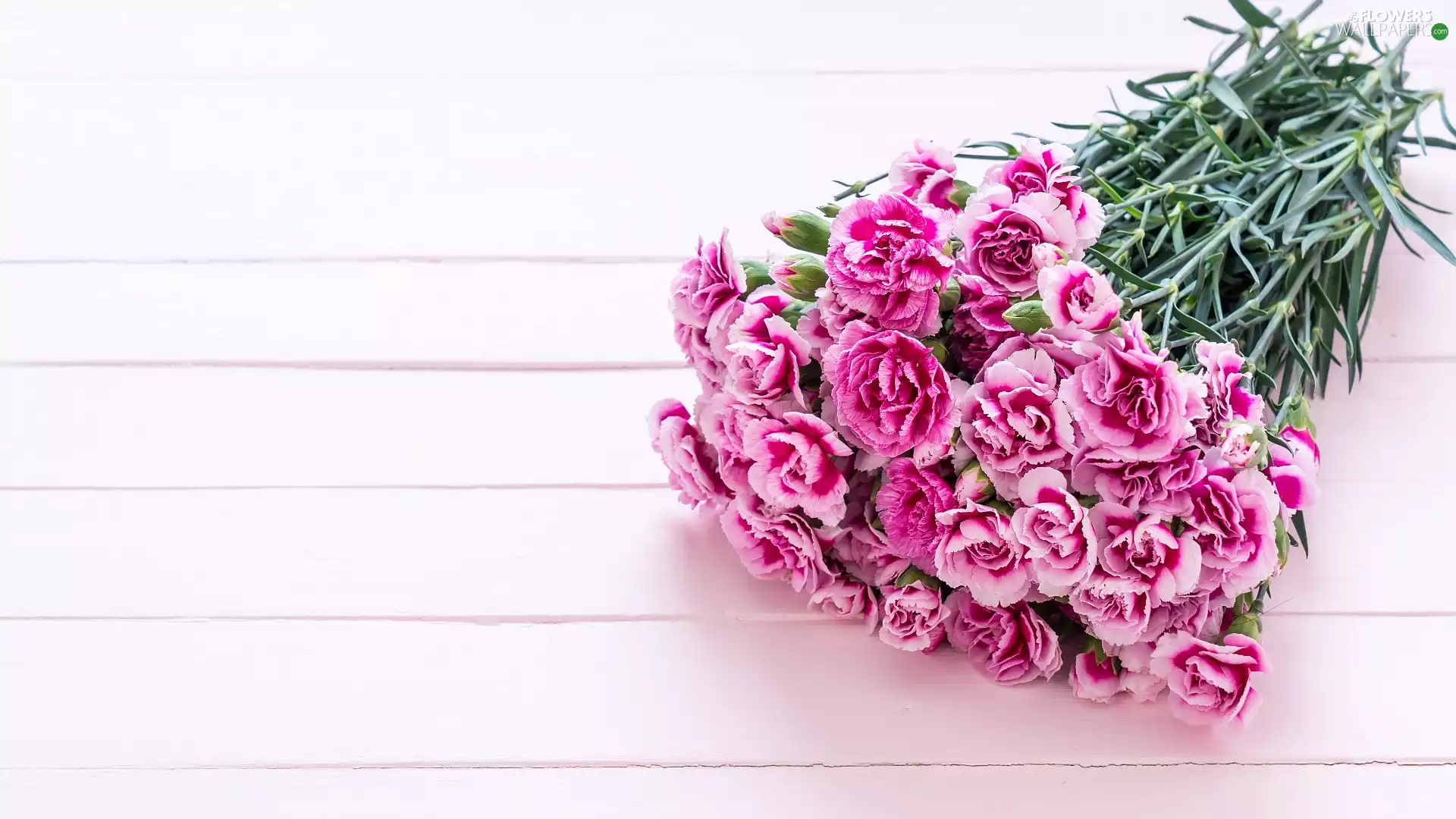 Flowers, bouquet, boarding, cloves