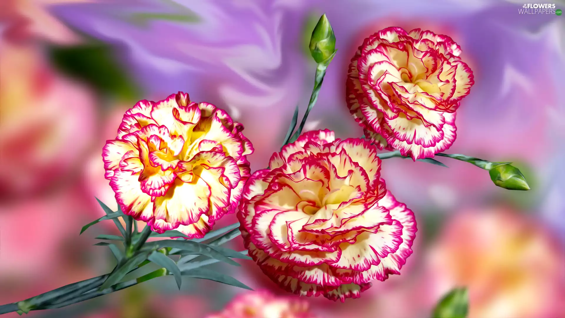 Flowers, Buds, graphics, cloves