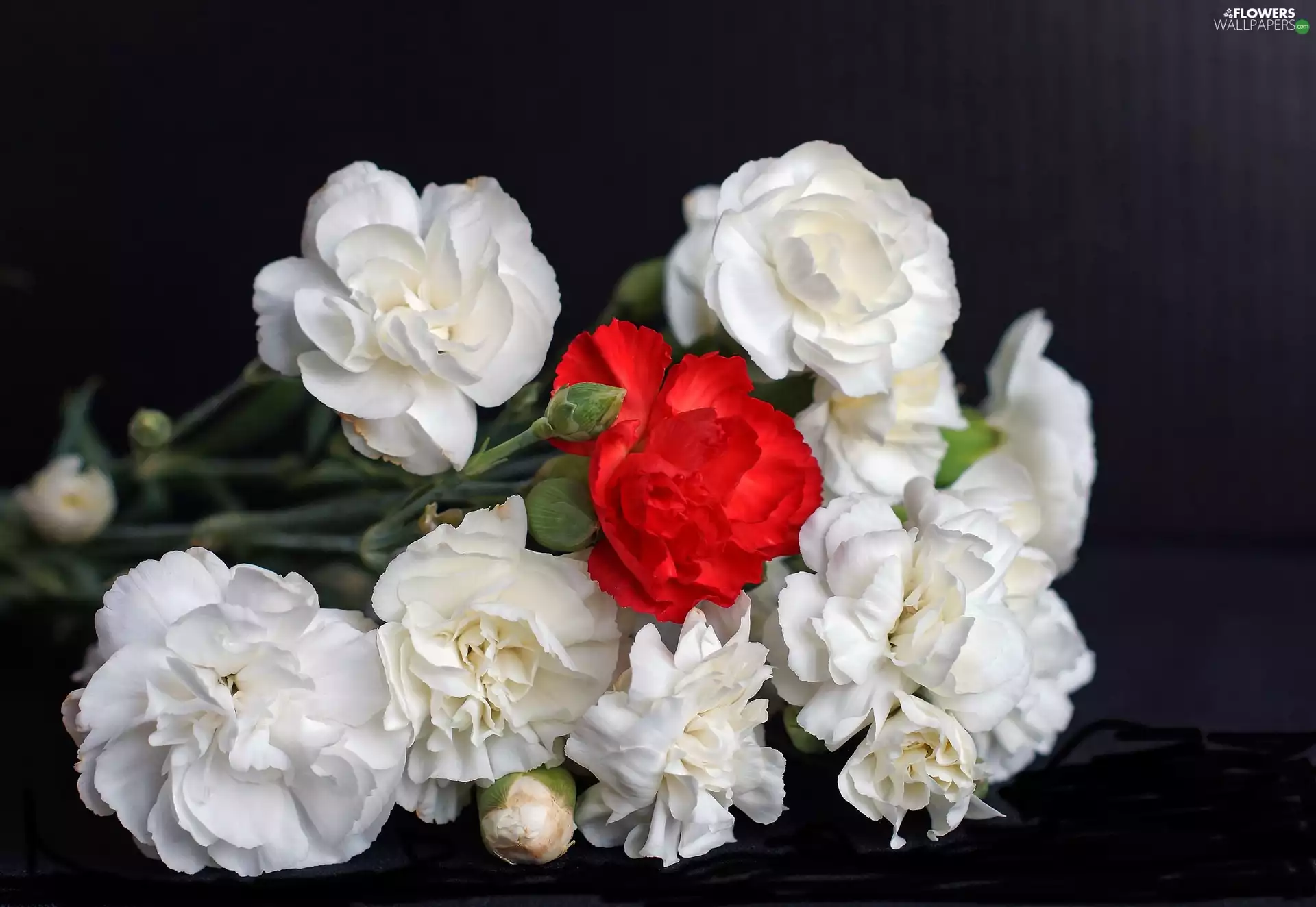 Flowers, Red, White, cloves