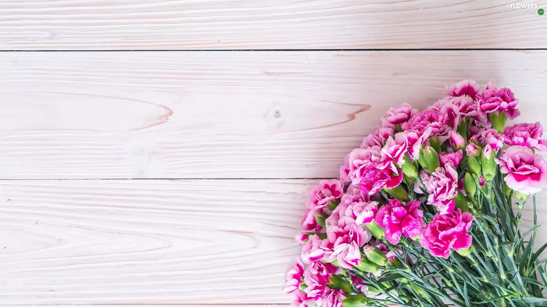 Pink, White, boarding, cloves