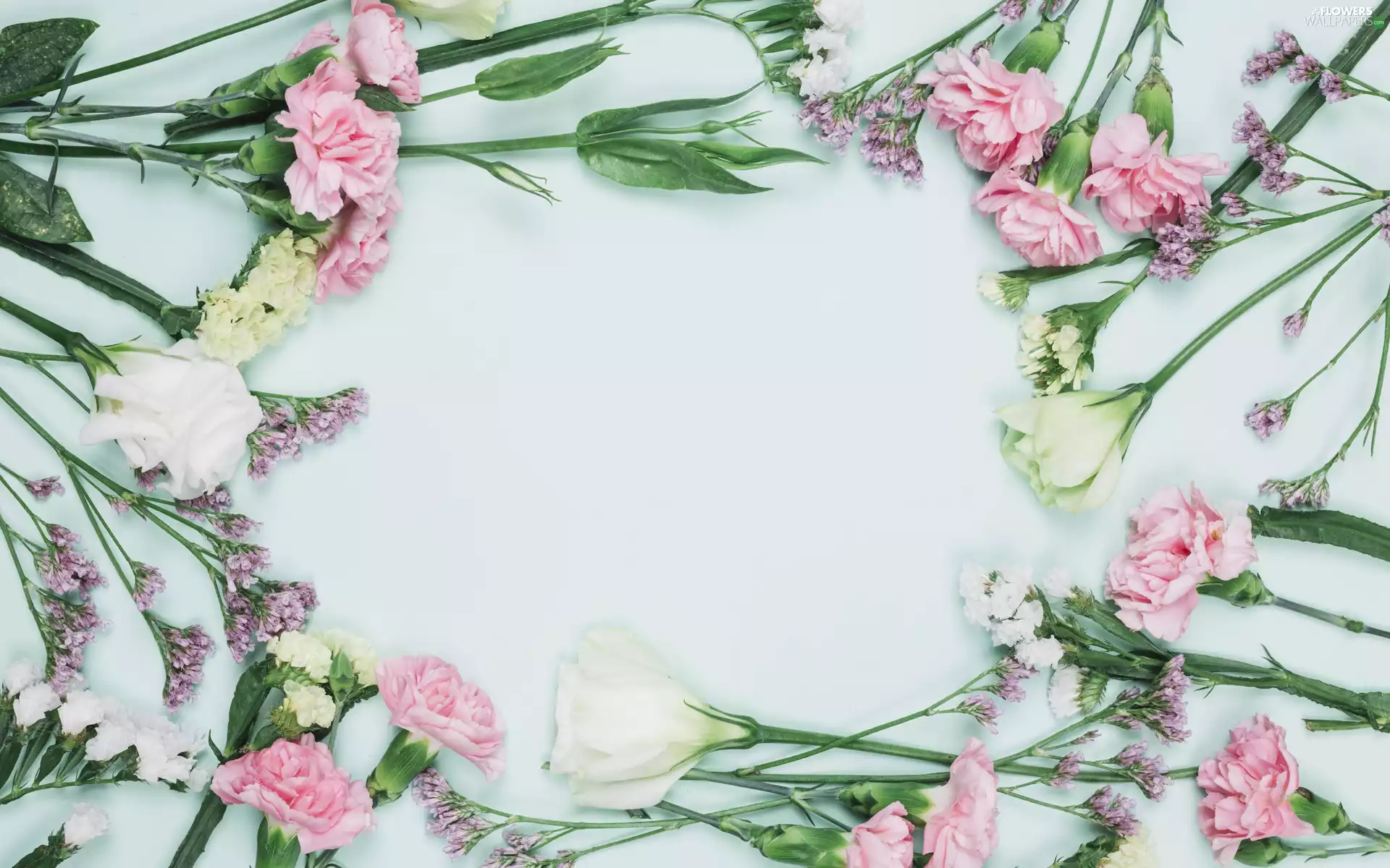 Flowers, cloves, Sea Lavender, Eustoma