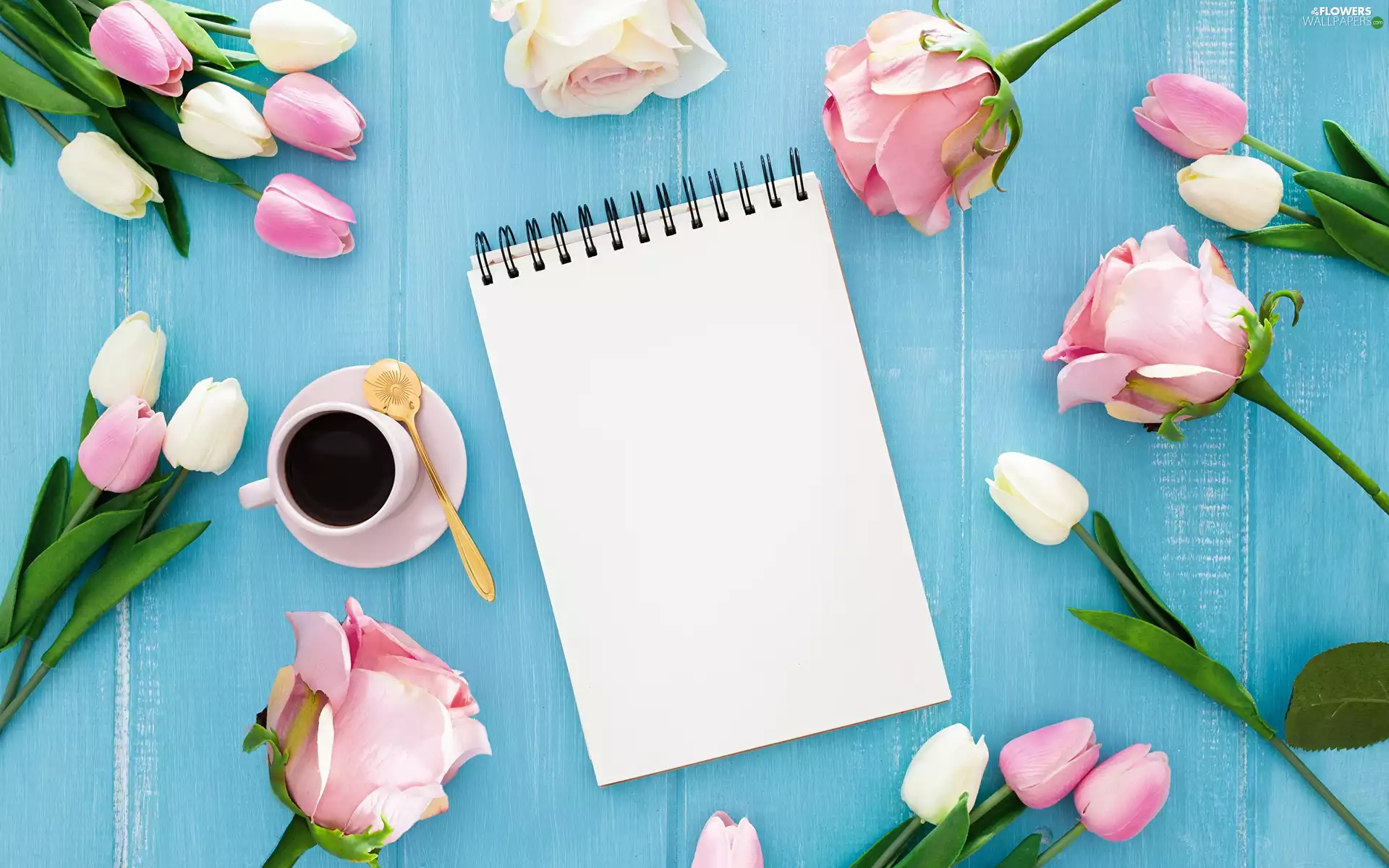 coffee, Products, Flowers, roses, teaspoon, boarding, color, note-book, Tulips