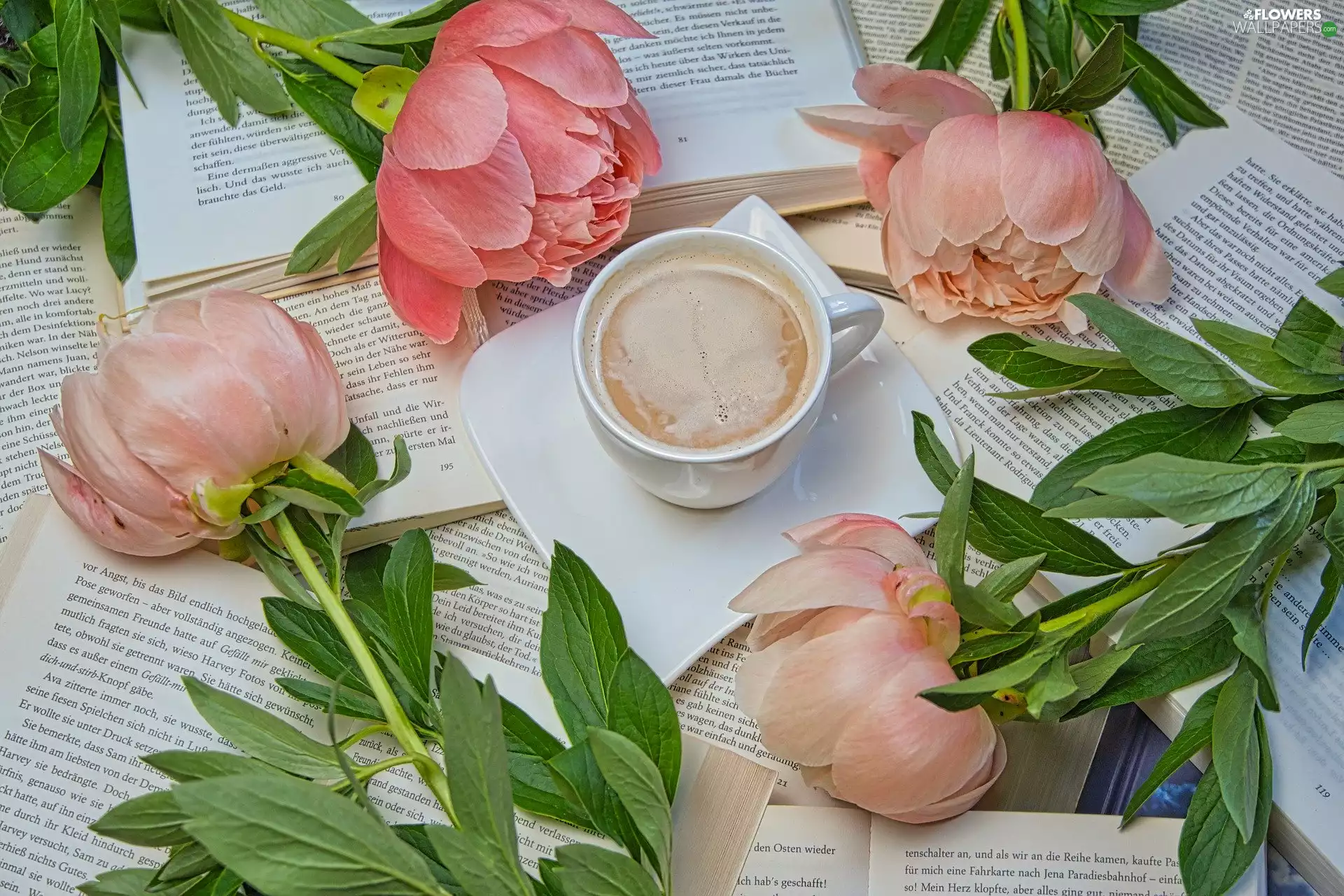 Books, Flowers, Peonies, coffee