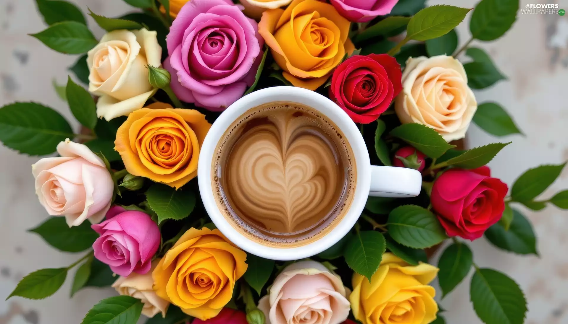cup, color, roses, coffee
